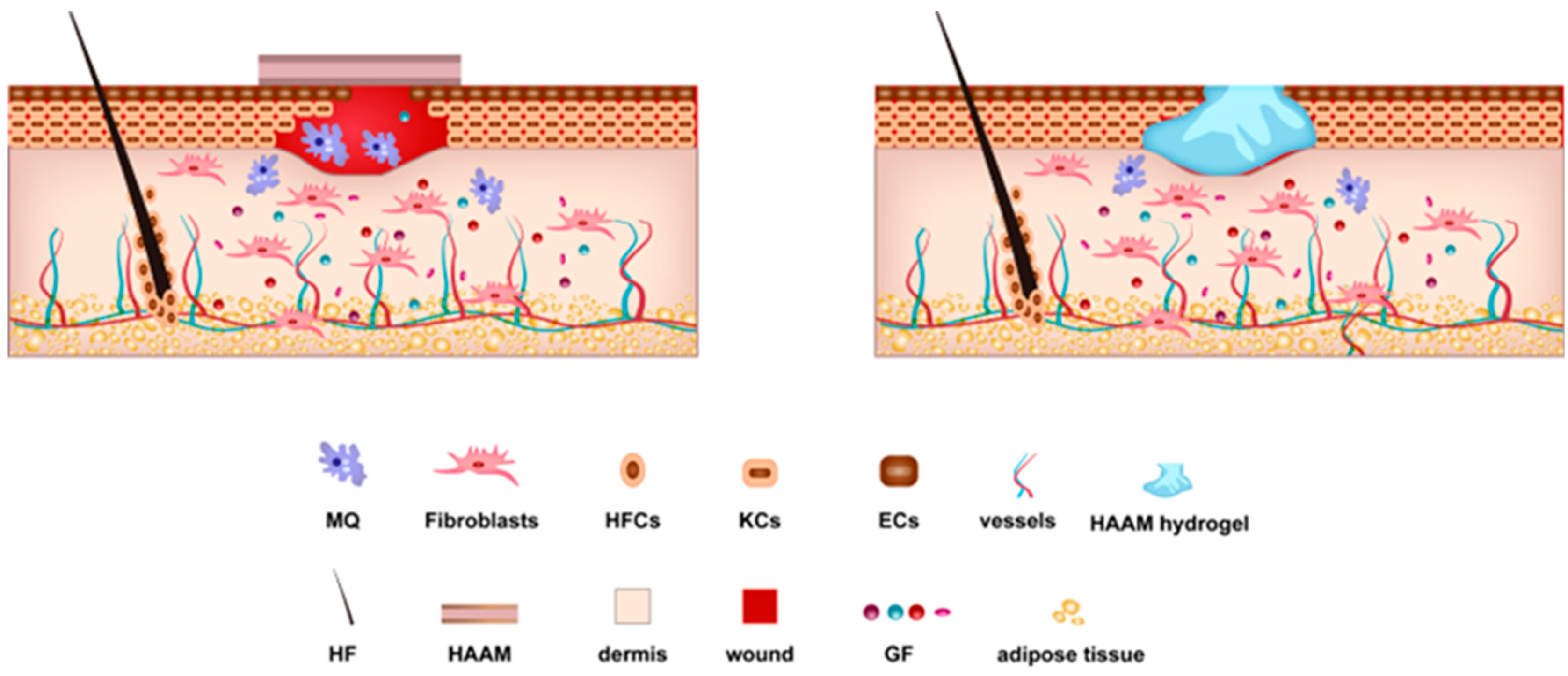 Pharmaceutics 15 02249 g002