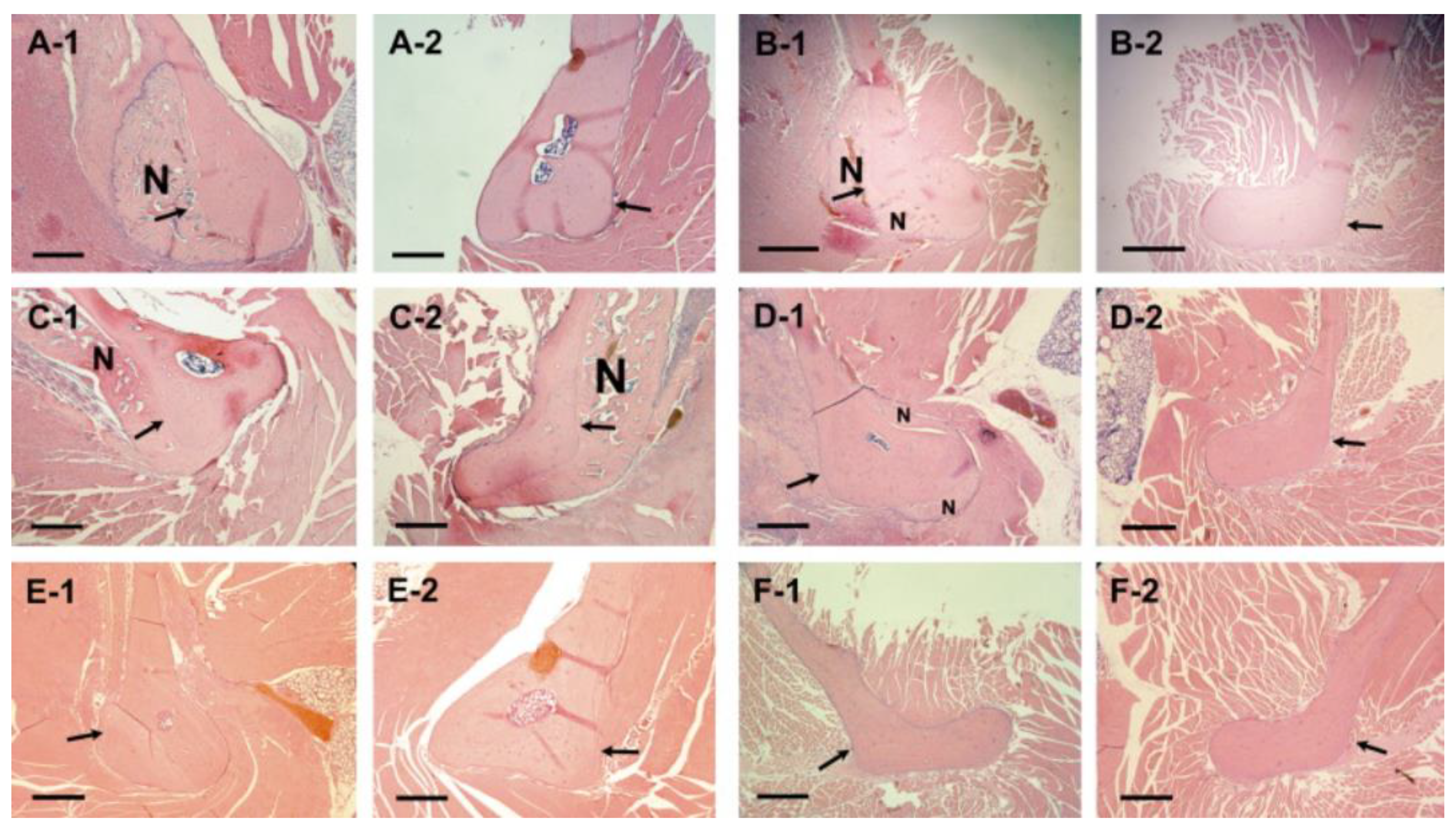 Pharmaceutics 15 02251 g005 Pharmaceutics 15 02251 g005