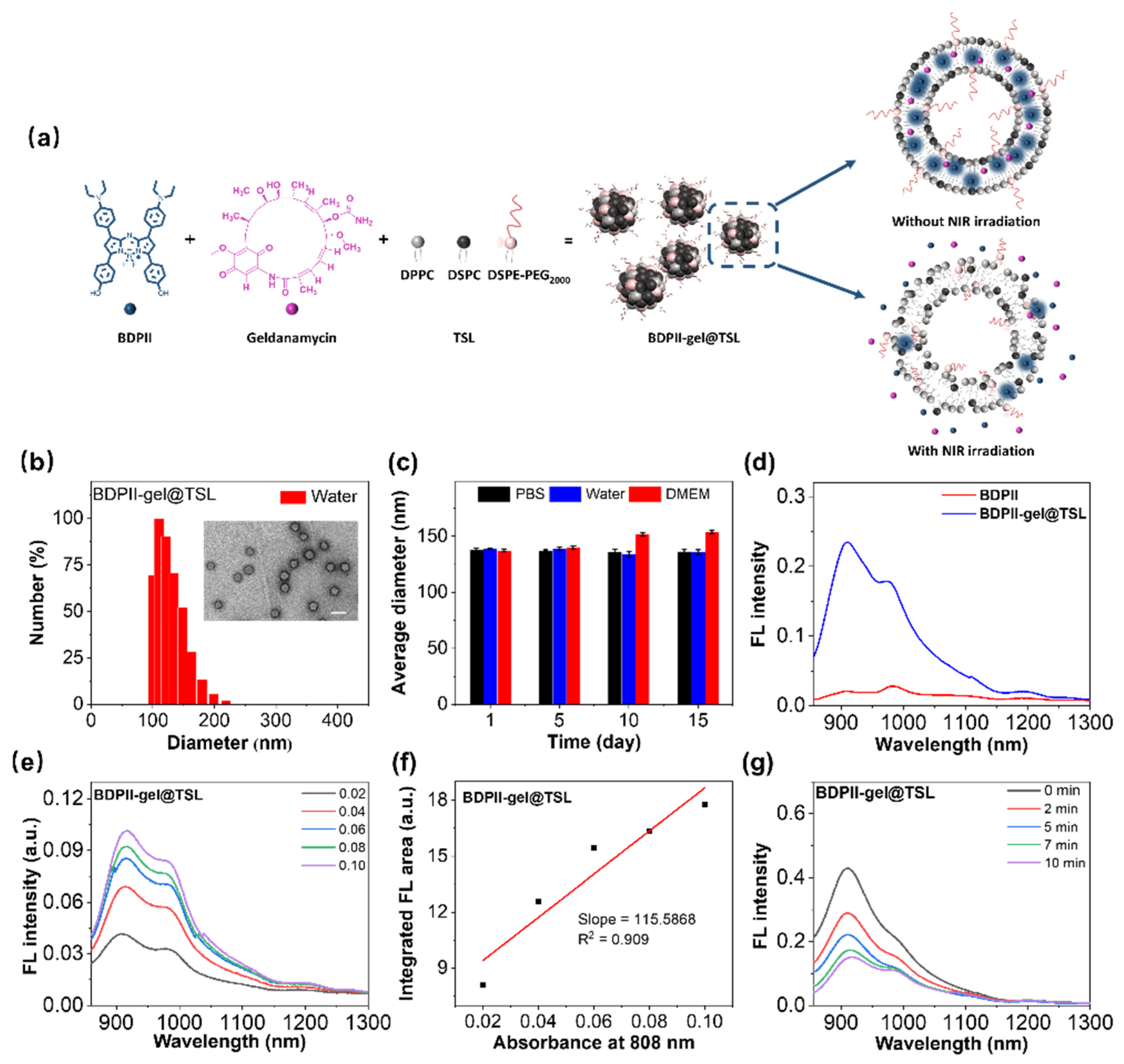Pharmaceutics 15 02252 g002