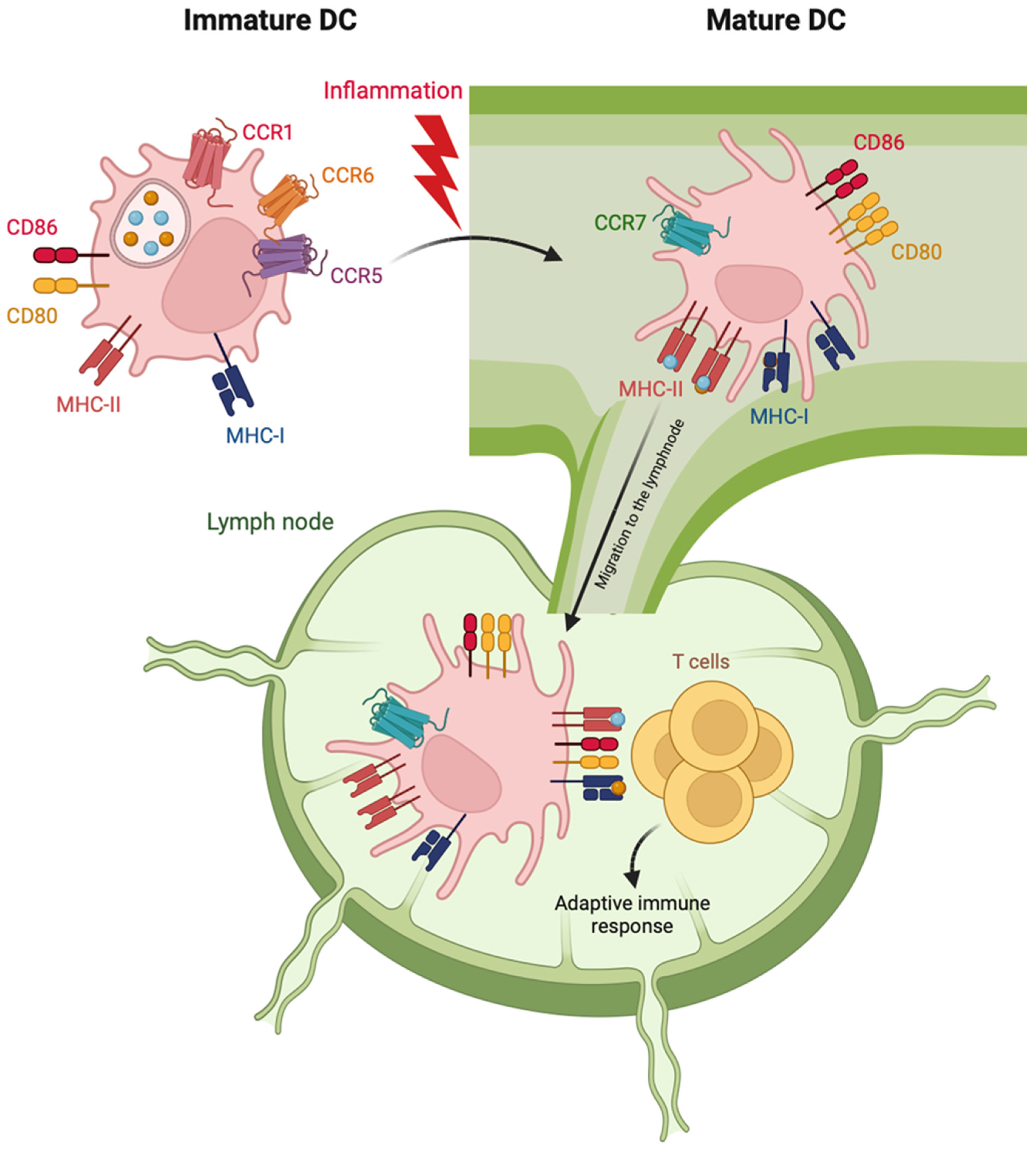 Pharmaceutics 15 02254 g001 Pharmaceutics 15 02254 g001