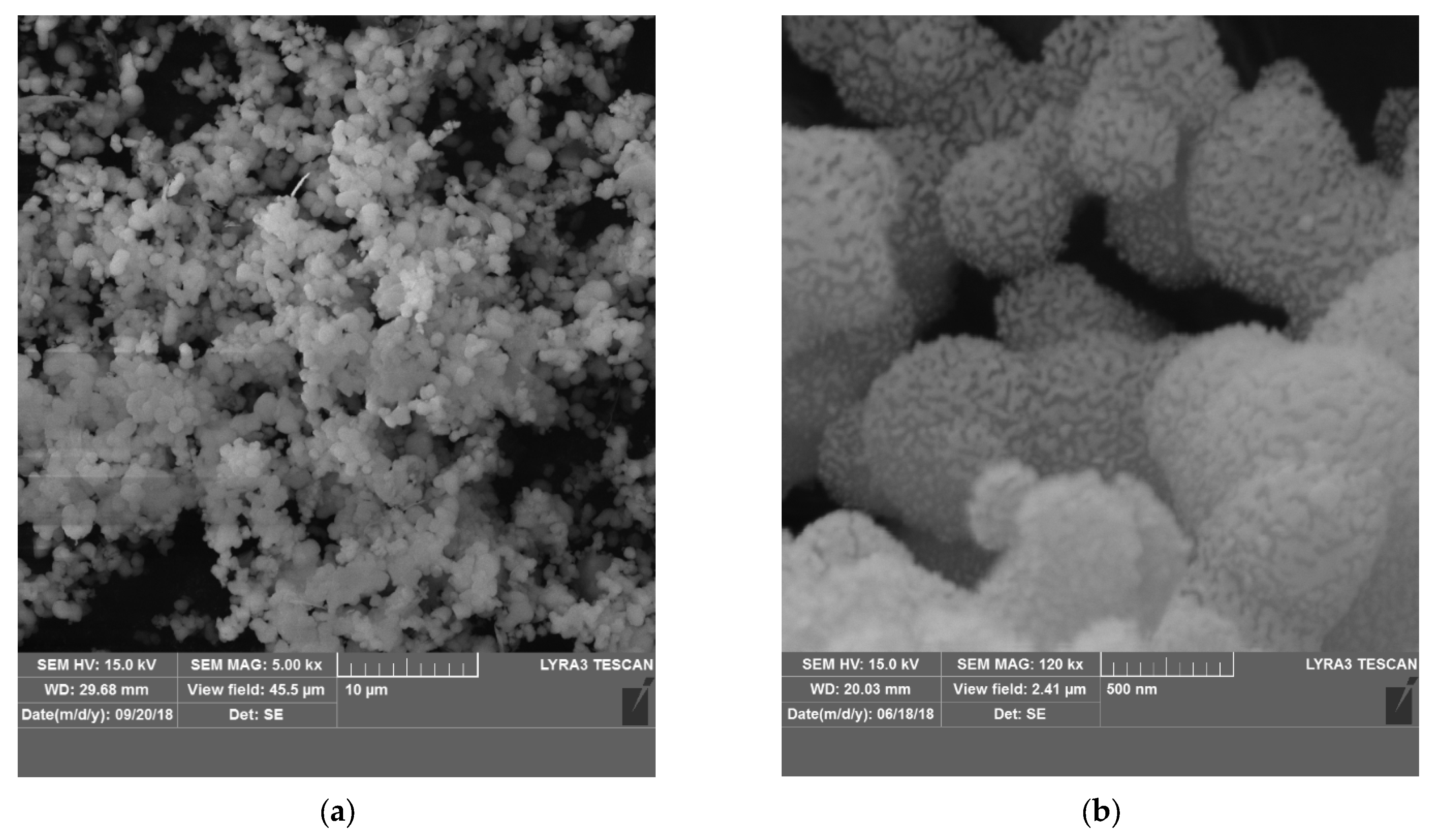 Pharmaceutics 15 02258 g001a