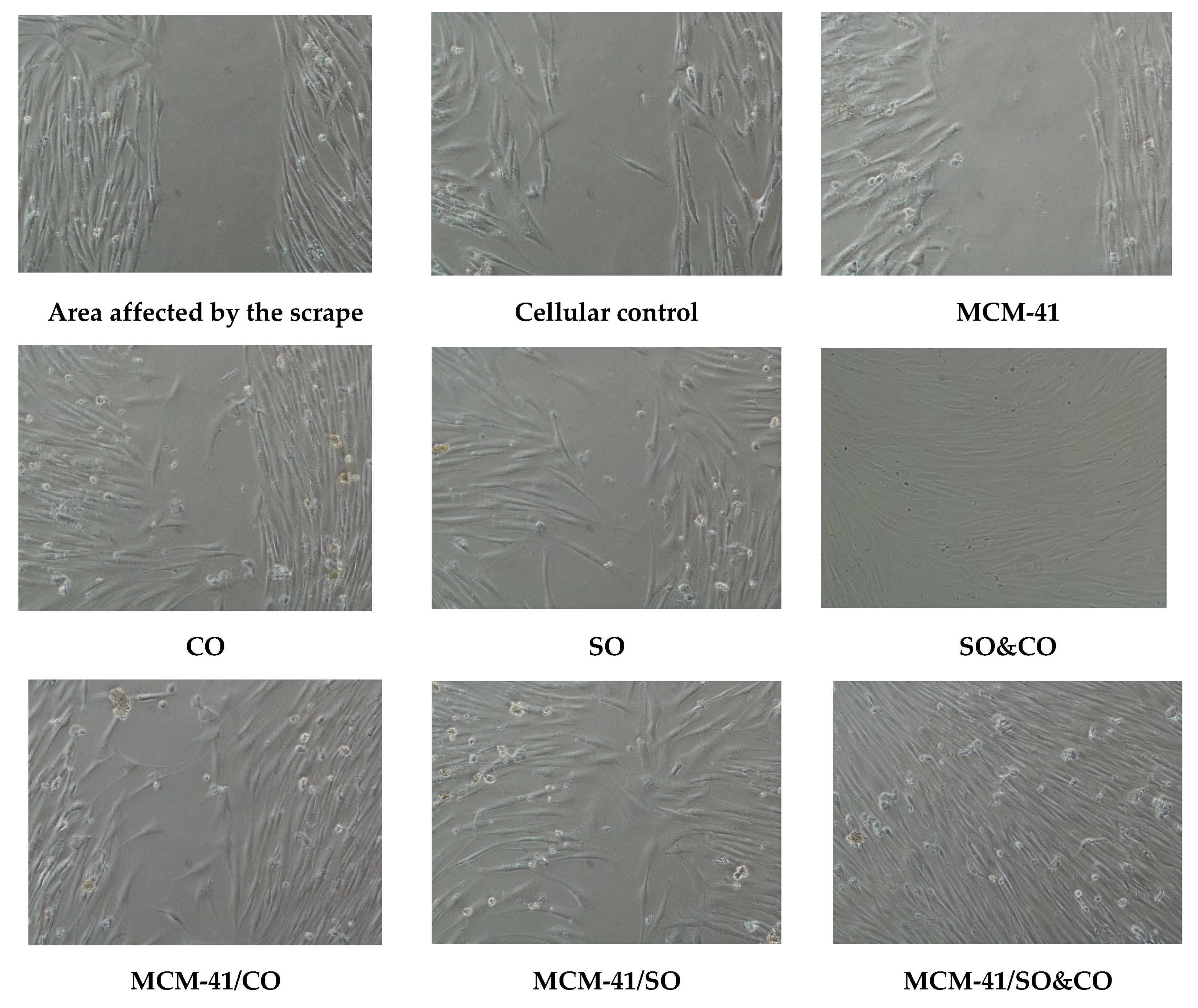 Pharmaceutics 15 02258 g012