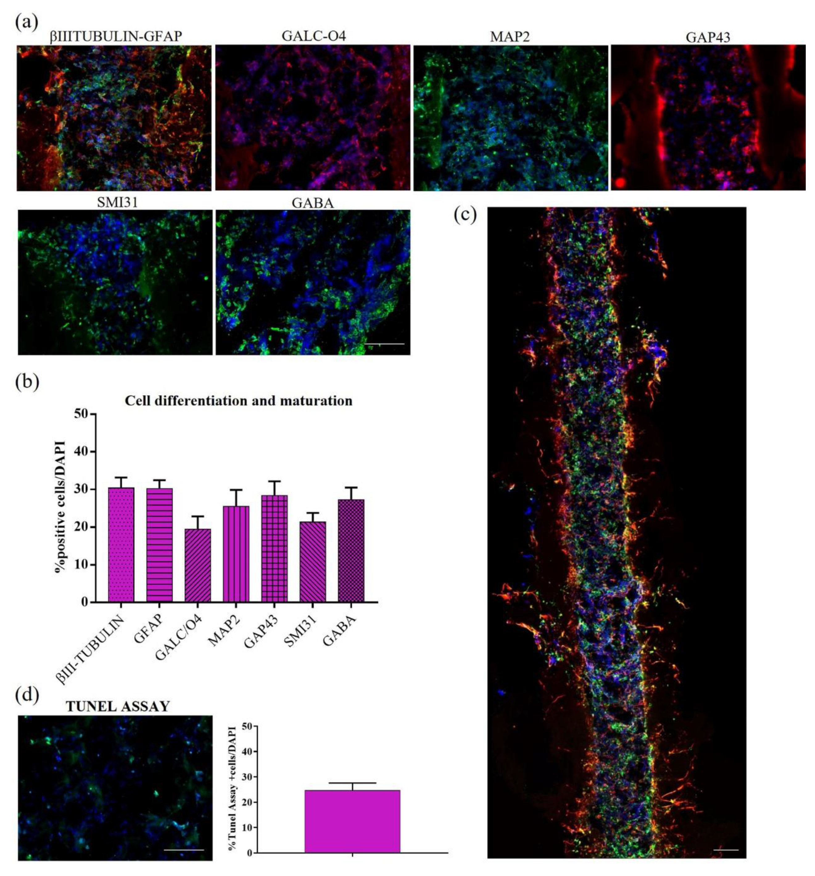 Pharmaceutics 15 02261 g007