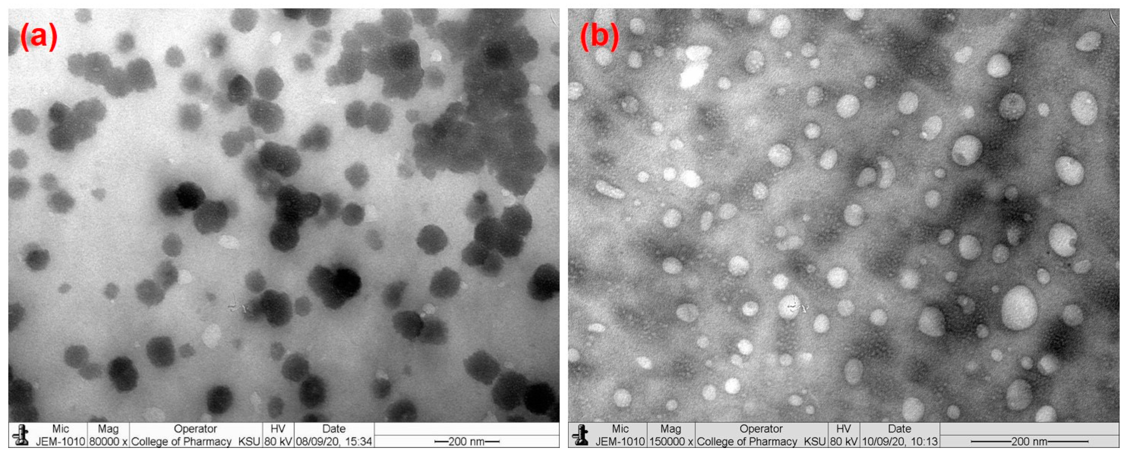 Pharmaceutics 15 02273 g001 Pharmaceutics 15 02273 g001