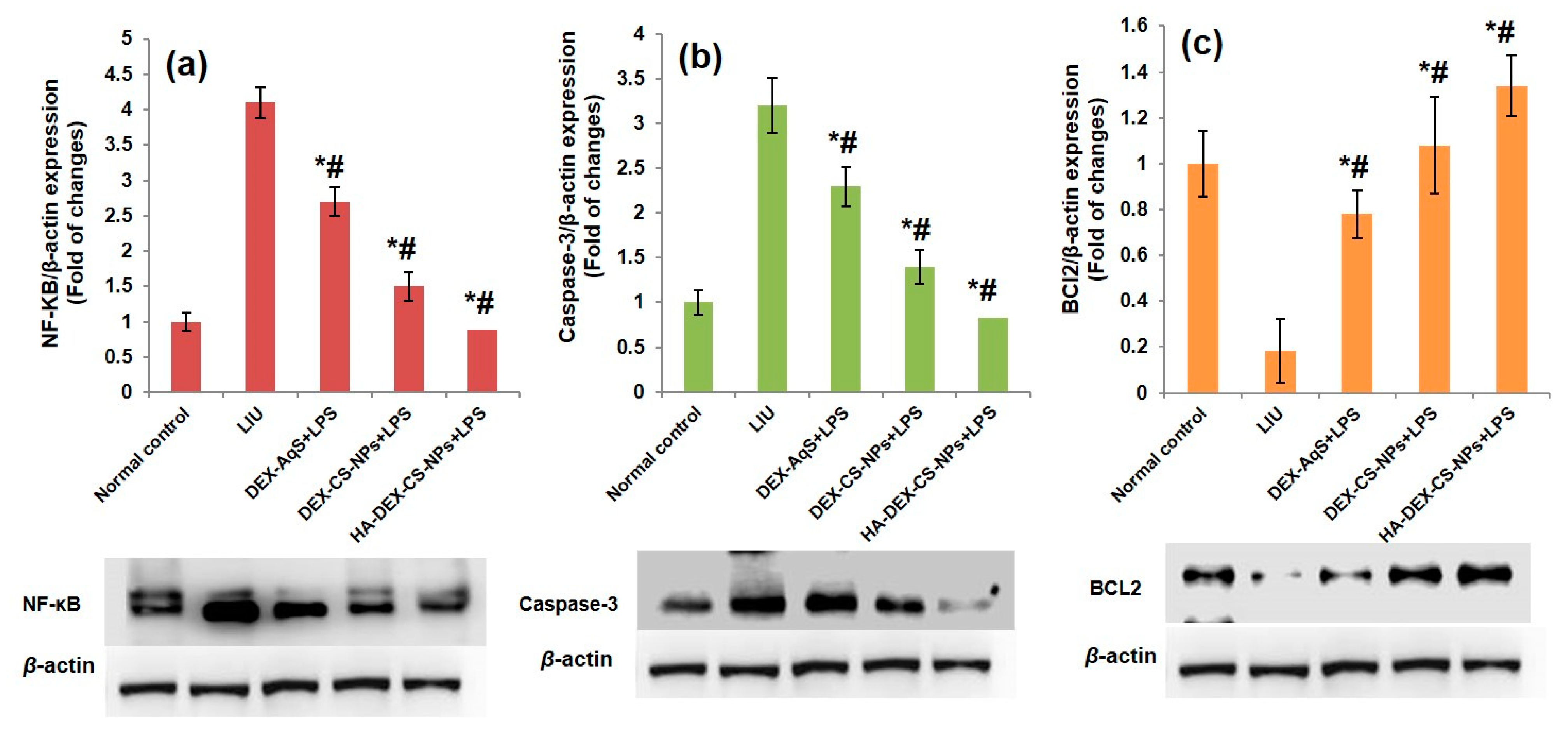 Pharmaceutics 15 02273 g007 Pharmaceutics 15 02273 g007