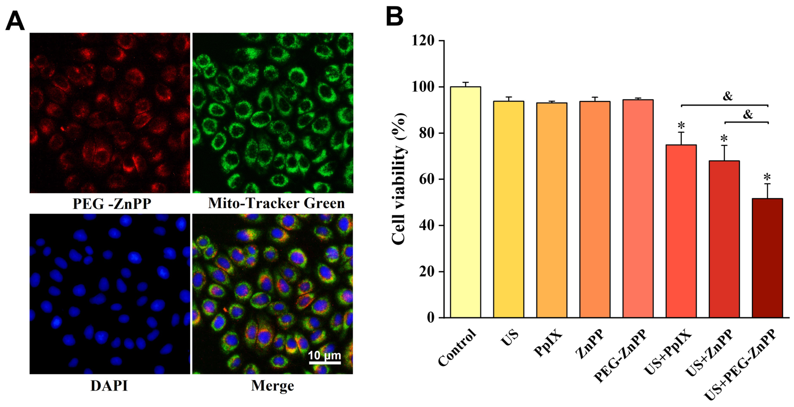 Pharmaceutics 15 02275 g003