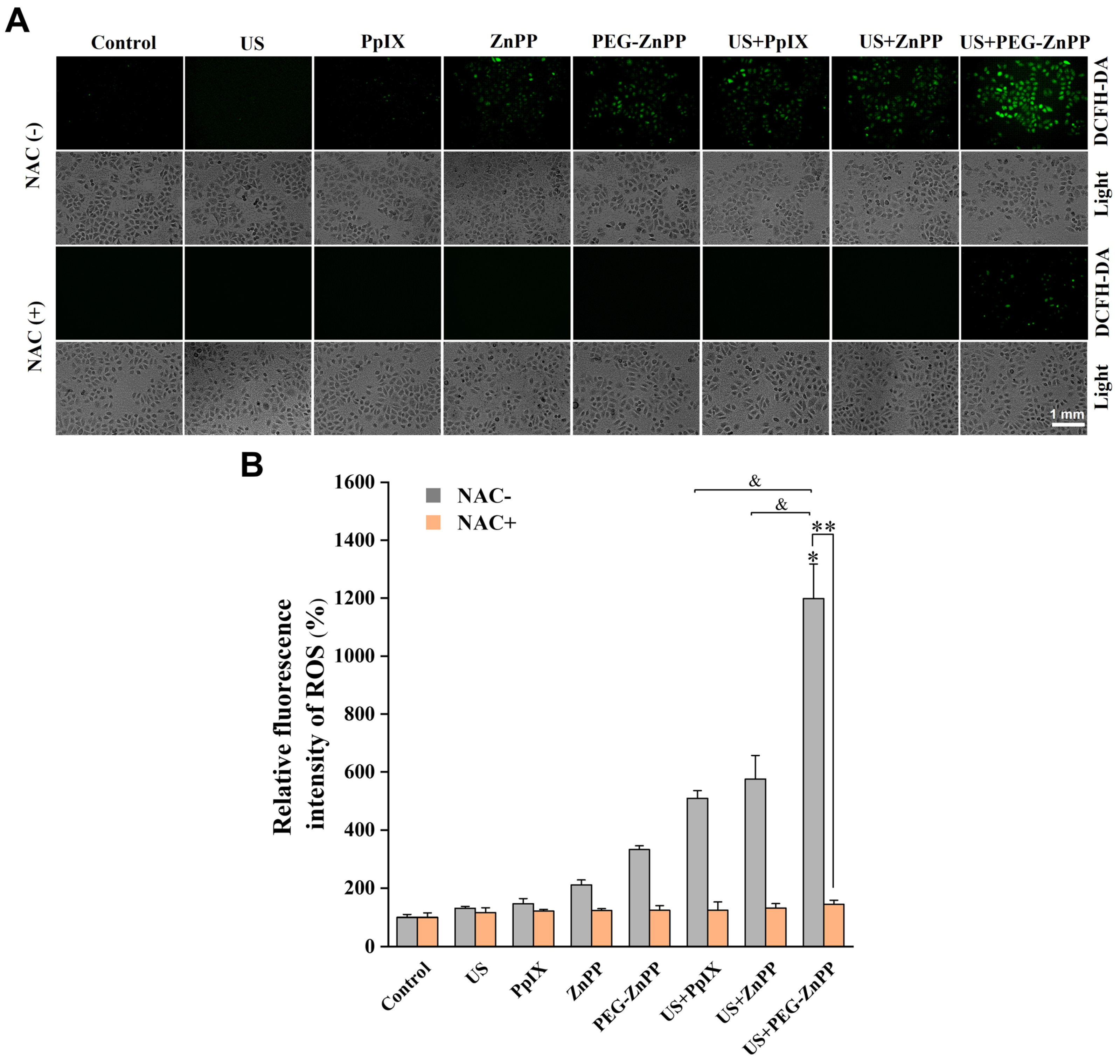 Pharmaceutics 15 02275 g004