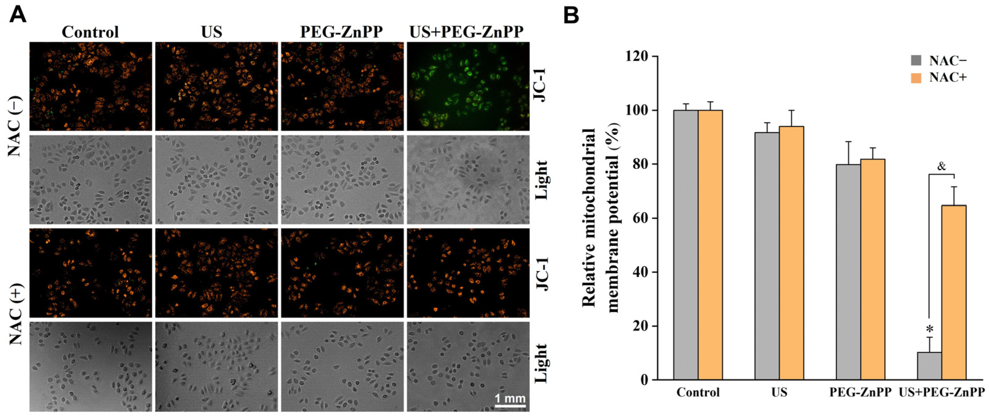 Pharmaceutics 15 02275 g005