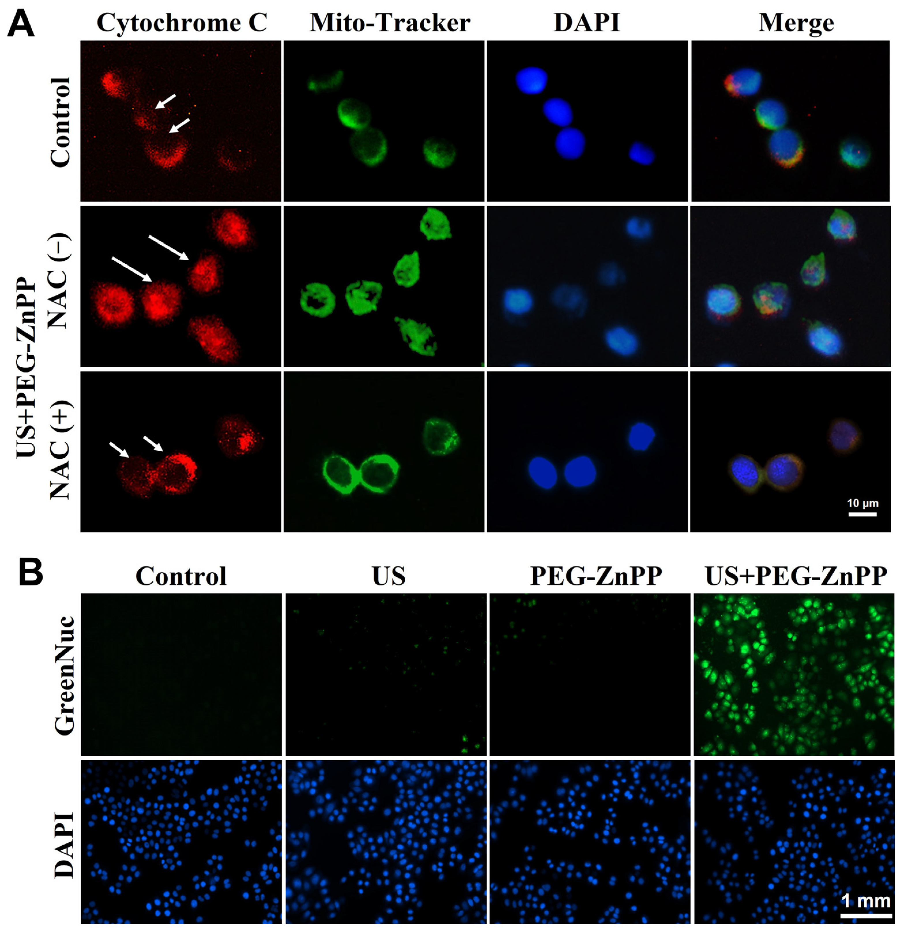 Pharmaceutics 15 02275 g006