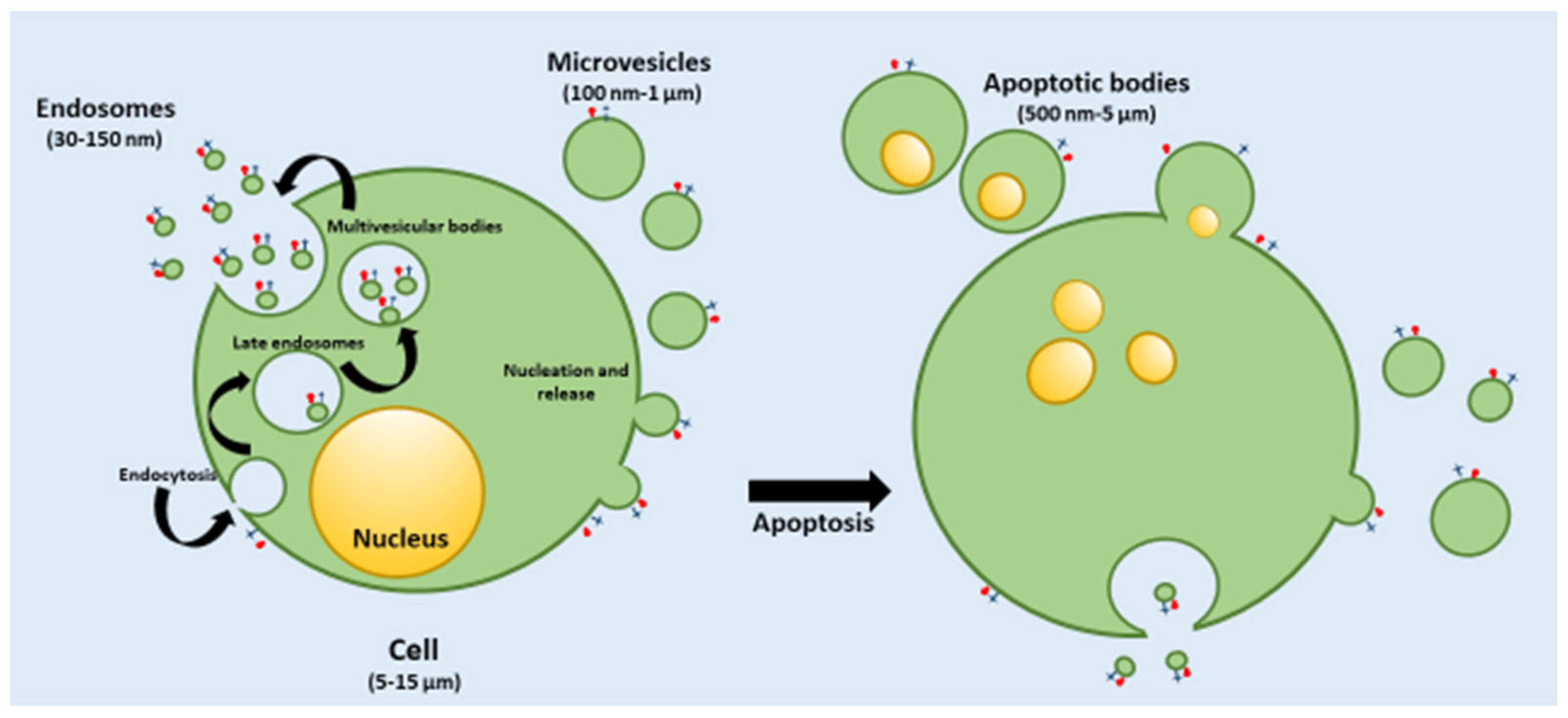 Pharmaceutics 15 02276 g001