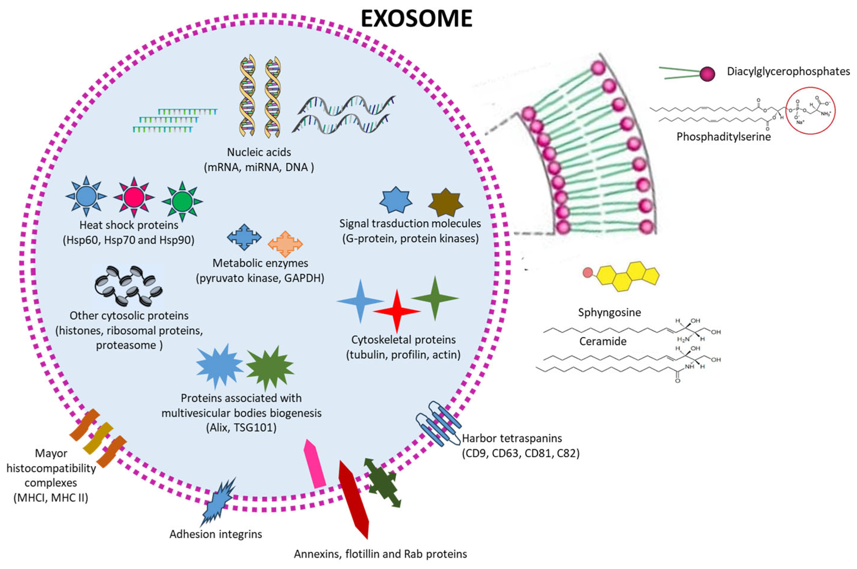 Pharmaceutics 15 02276 g002