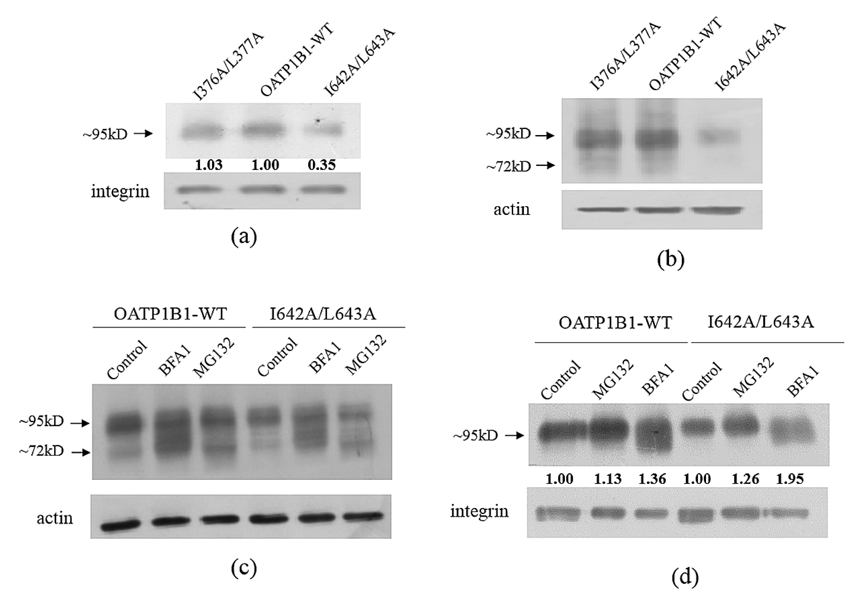 Pharmaceutics 15 02279 g007 Pharmaceutics 15 02279 g007
