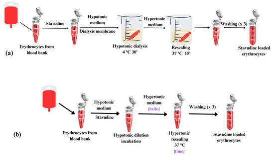 Pharmaceutics, Free Full-Text