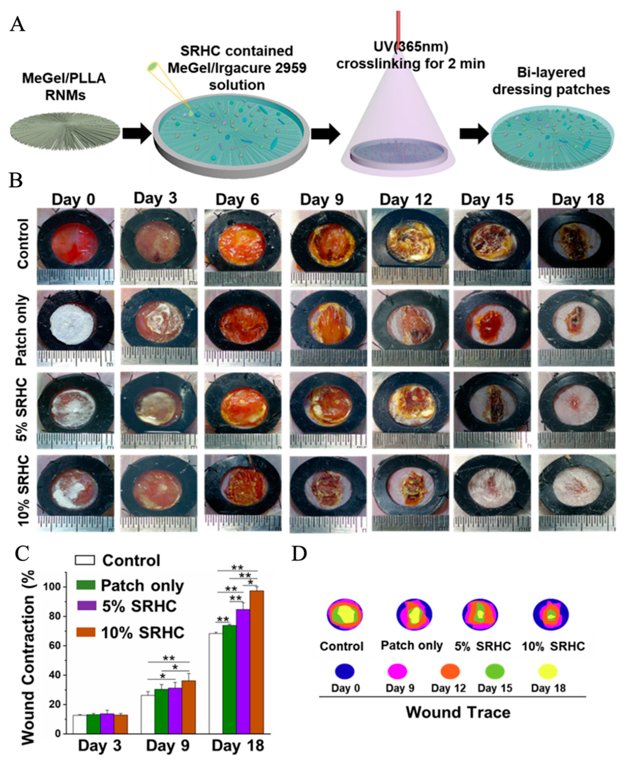 Pharmaceutics 15 02285 g006