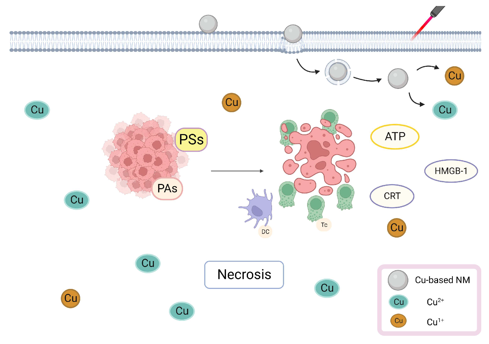 Pharmaceutics 15 02293 g002