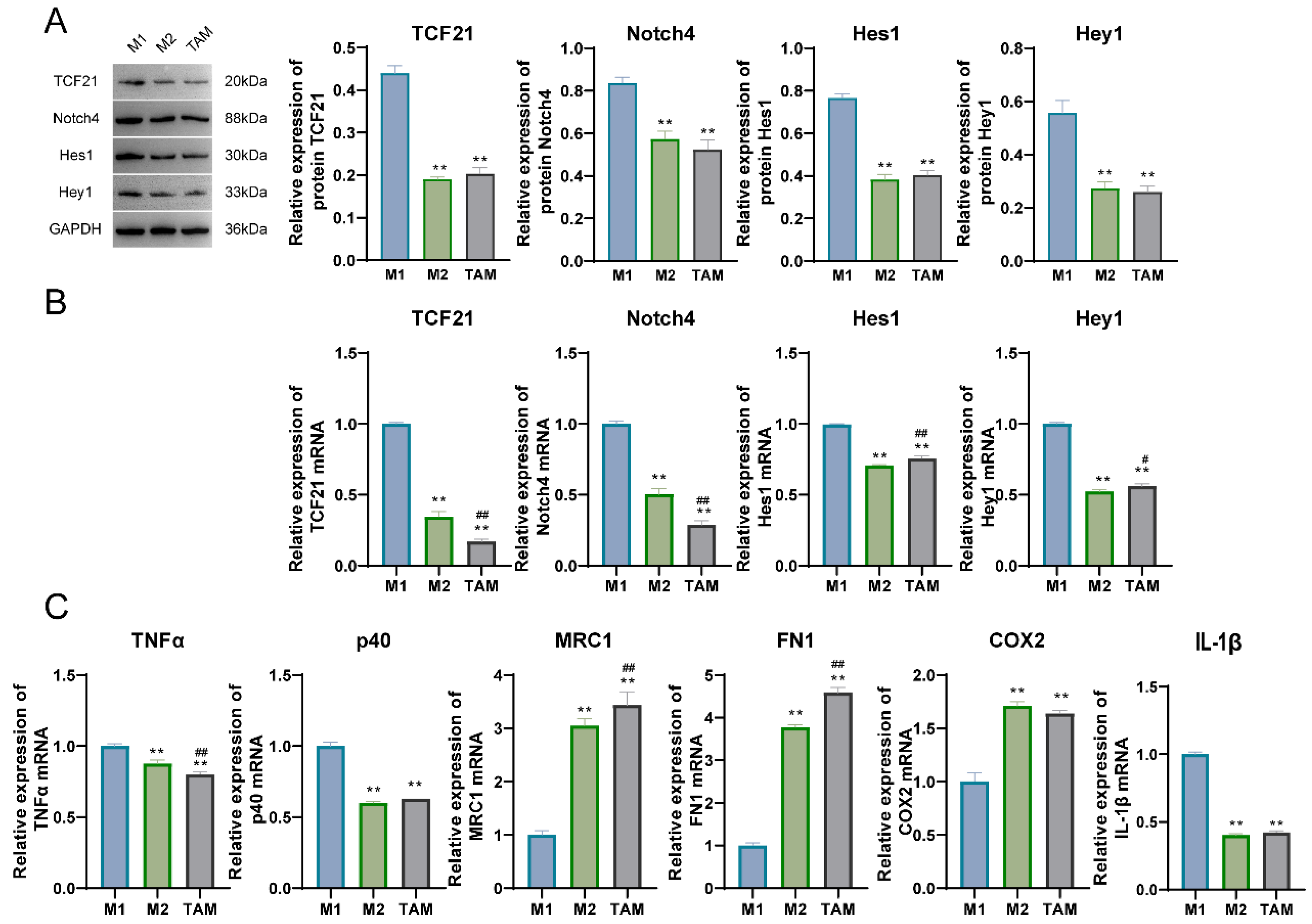 Pharmaceutics 15 02295 g003 Pharmaceutics 15 02295 g003