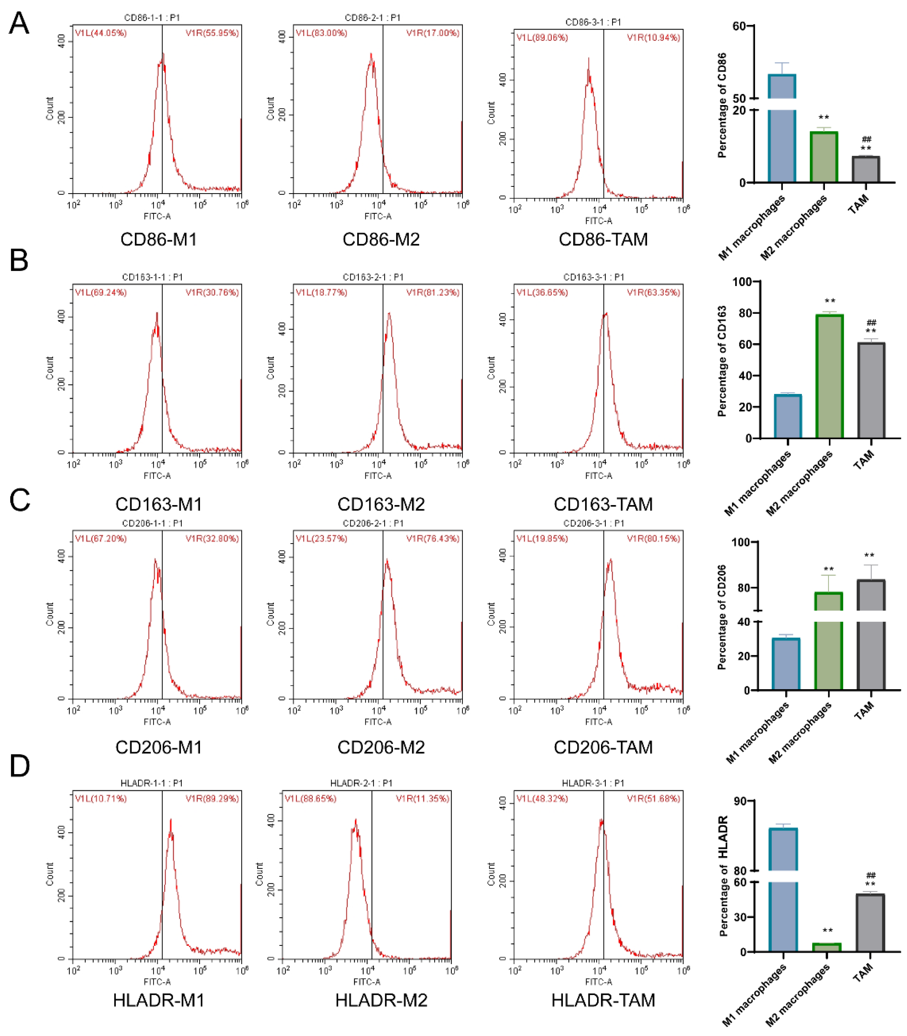 Pharmaceutics 15 02295 g004 Pharmaceutics 15 02295 g004
