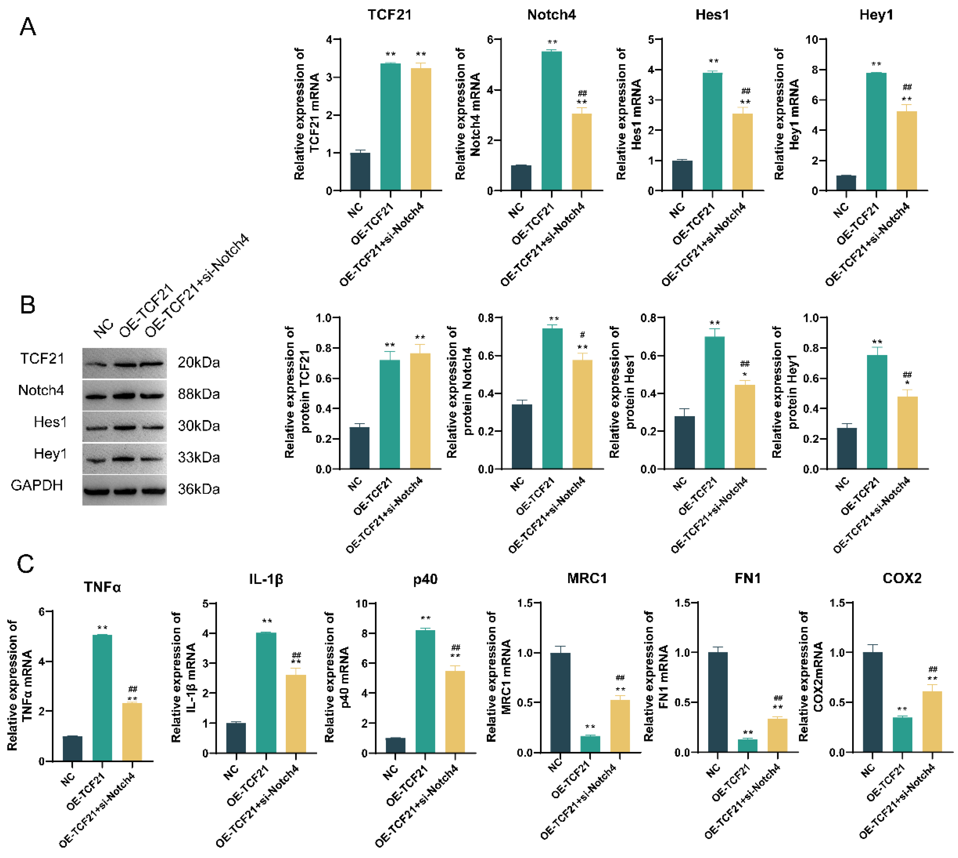 Pharmaceutics 15 02295 g008 Pharmaceutics 15 02295 g008