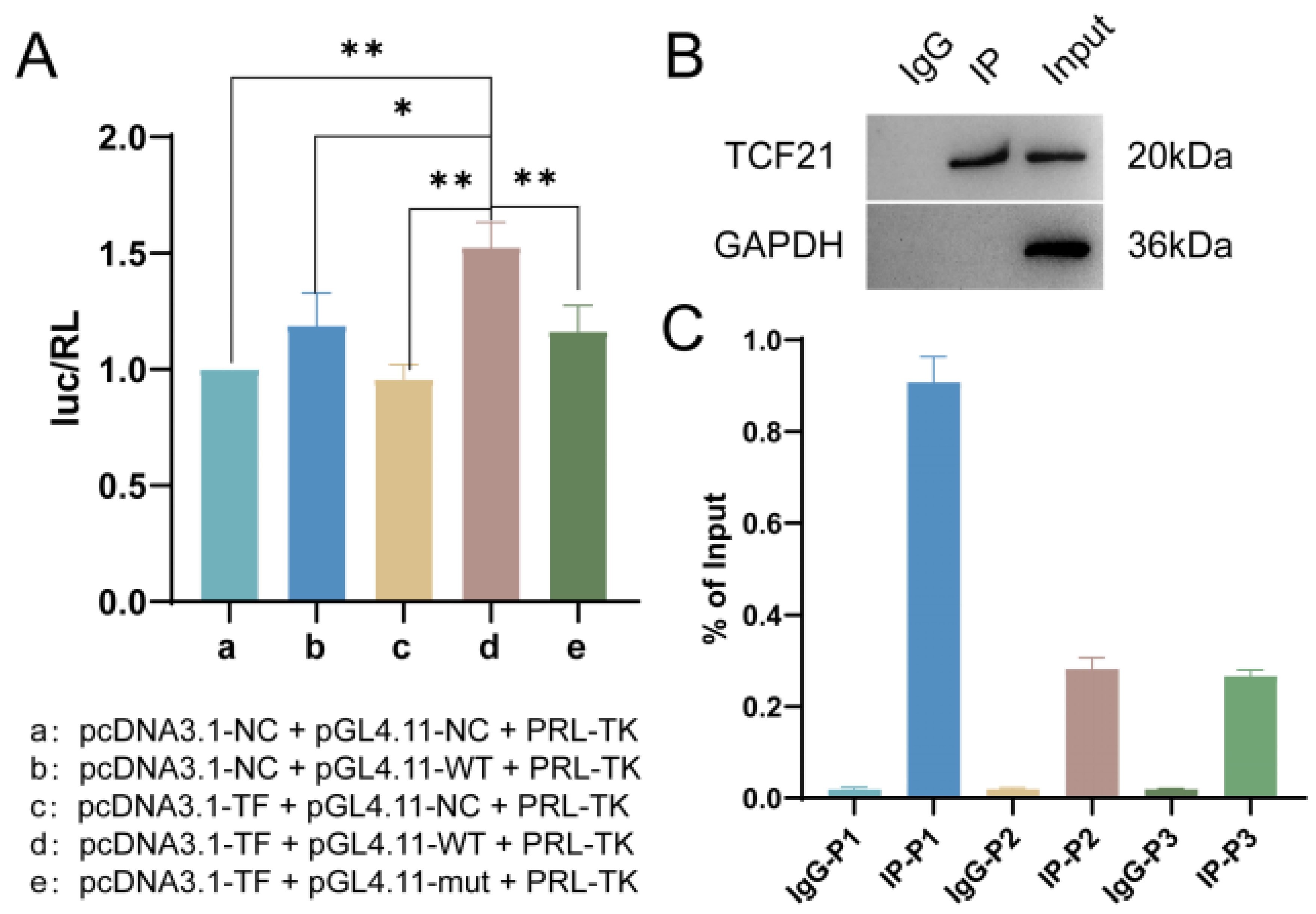 Pharmaceutics 15 02295 g009 Pharmaceutics 15 02295 g009