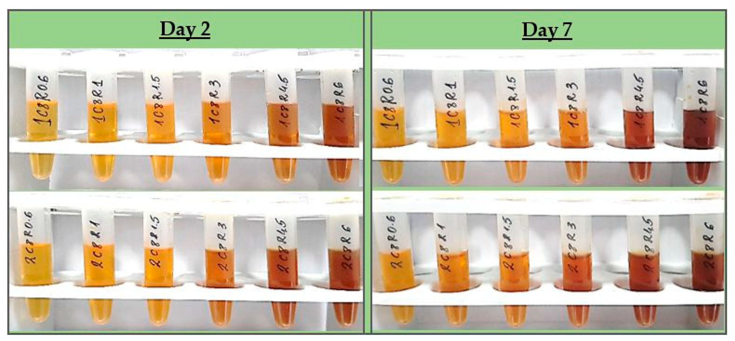 Pharmaceutics 15 02298 g001 Pharmaceutics 15 02298 g001