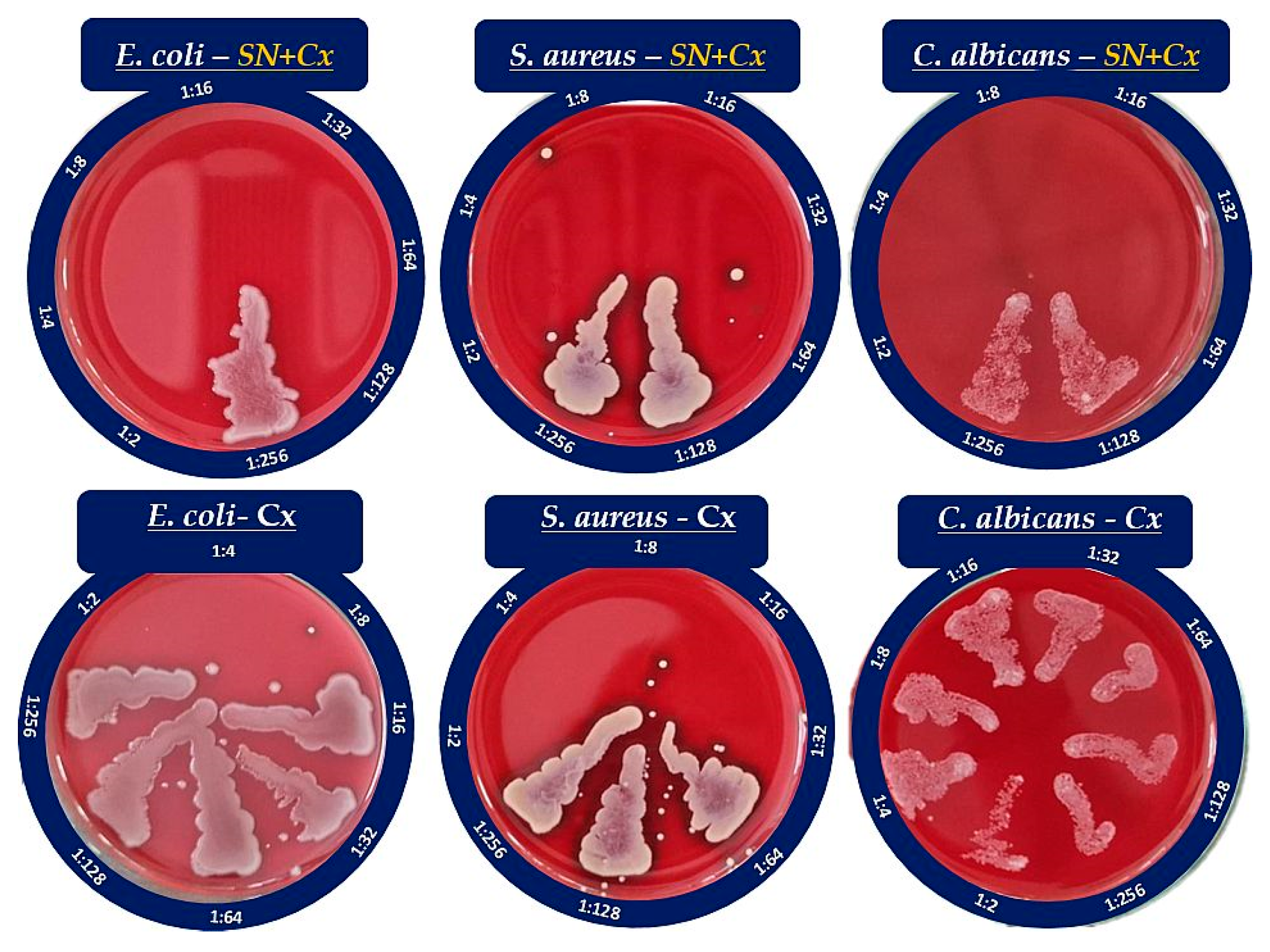 Pharmaceutics 15 02298 g005 Pharmaceutics 15 02298 g005