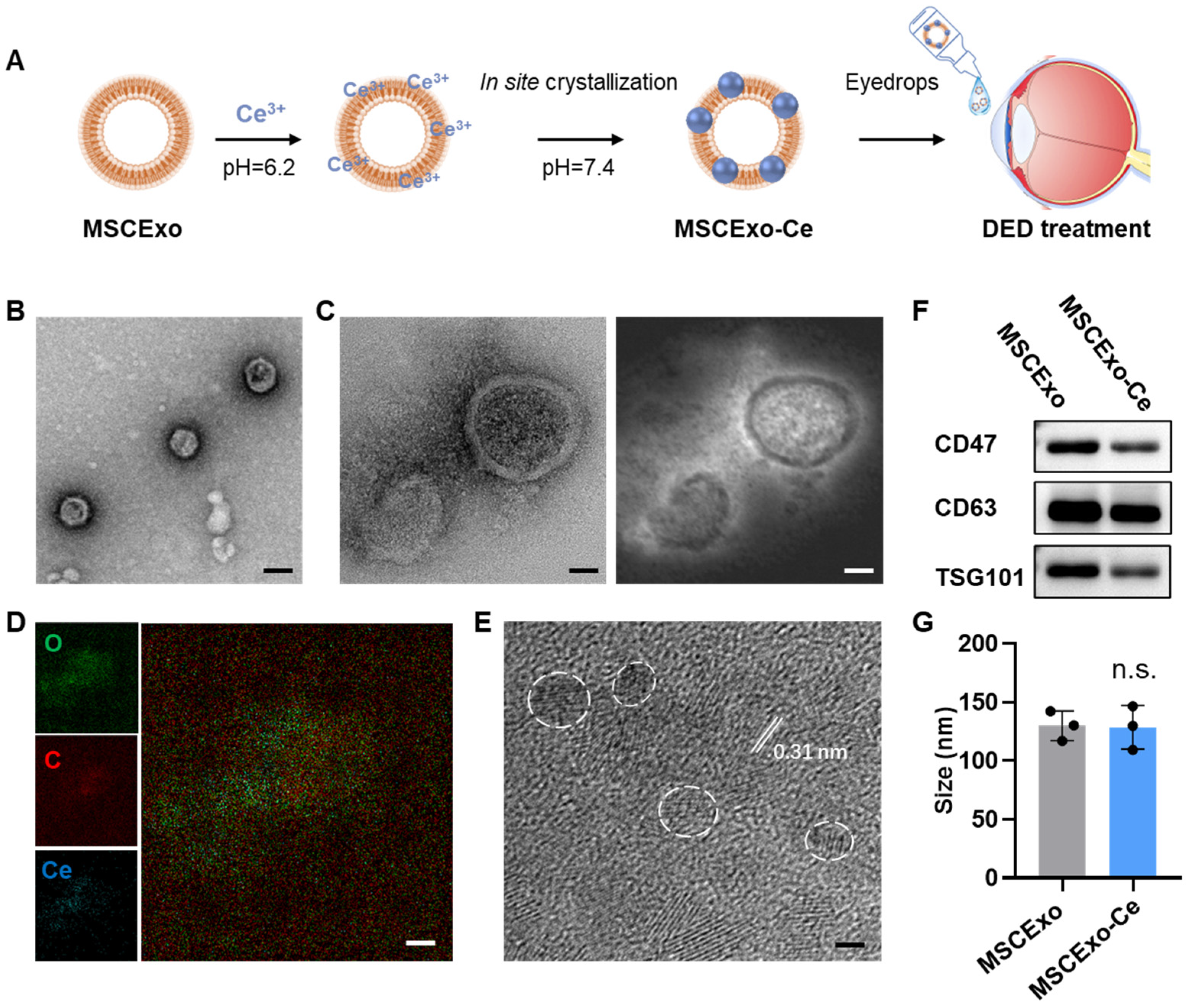 Pharmaceutics 15 02301 g001