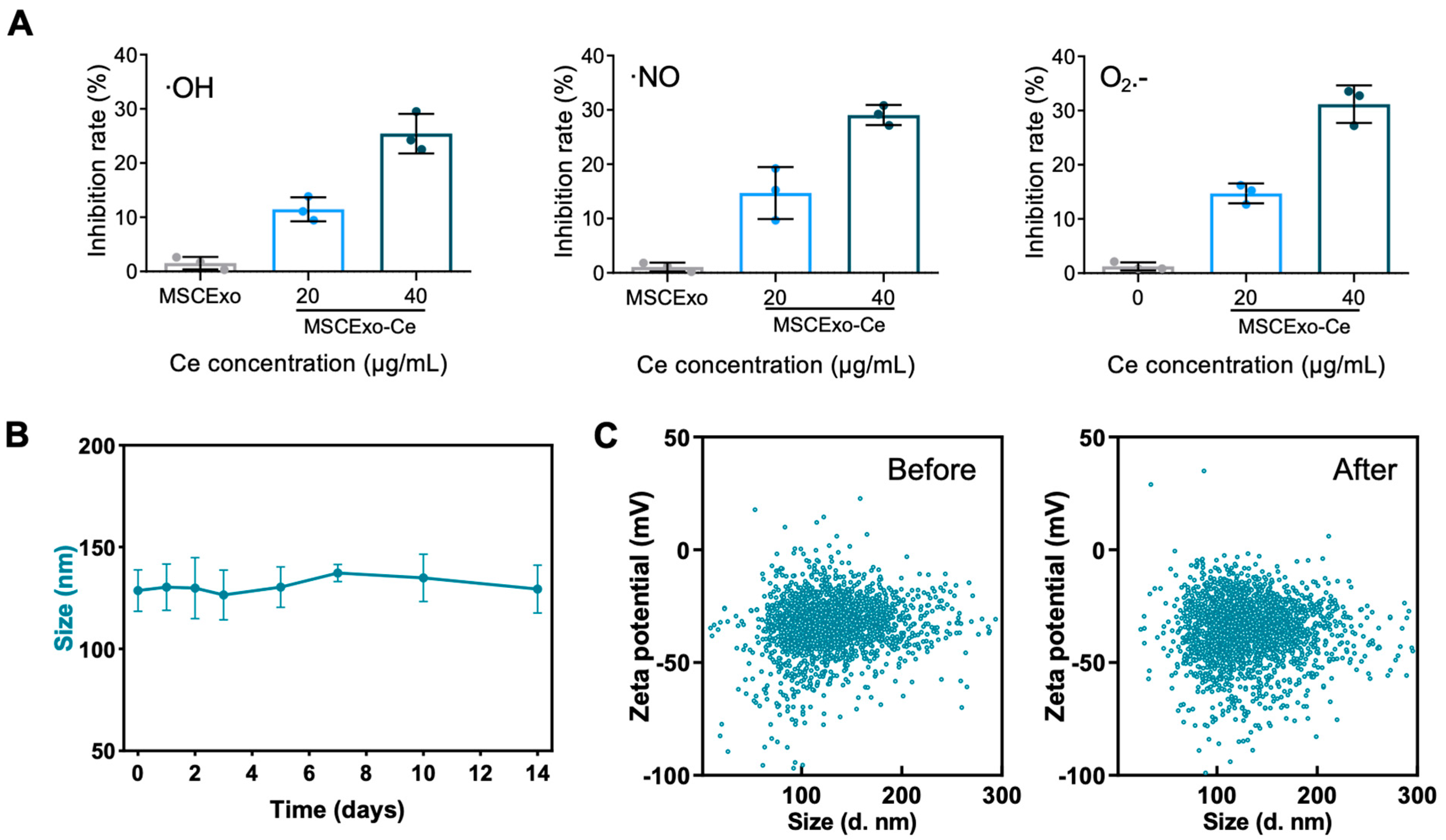 Pharmaceutics 15 02301 g002