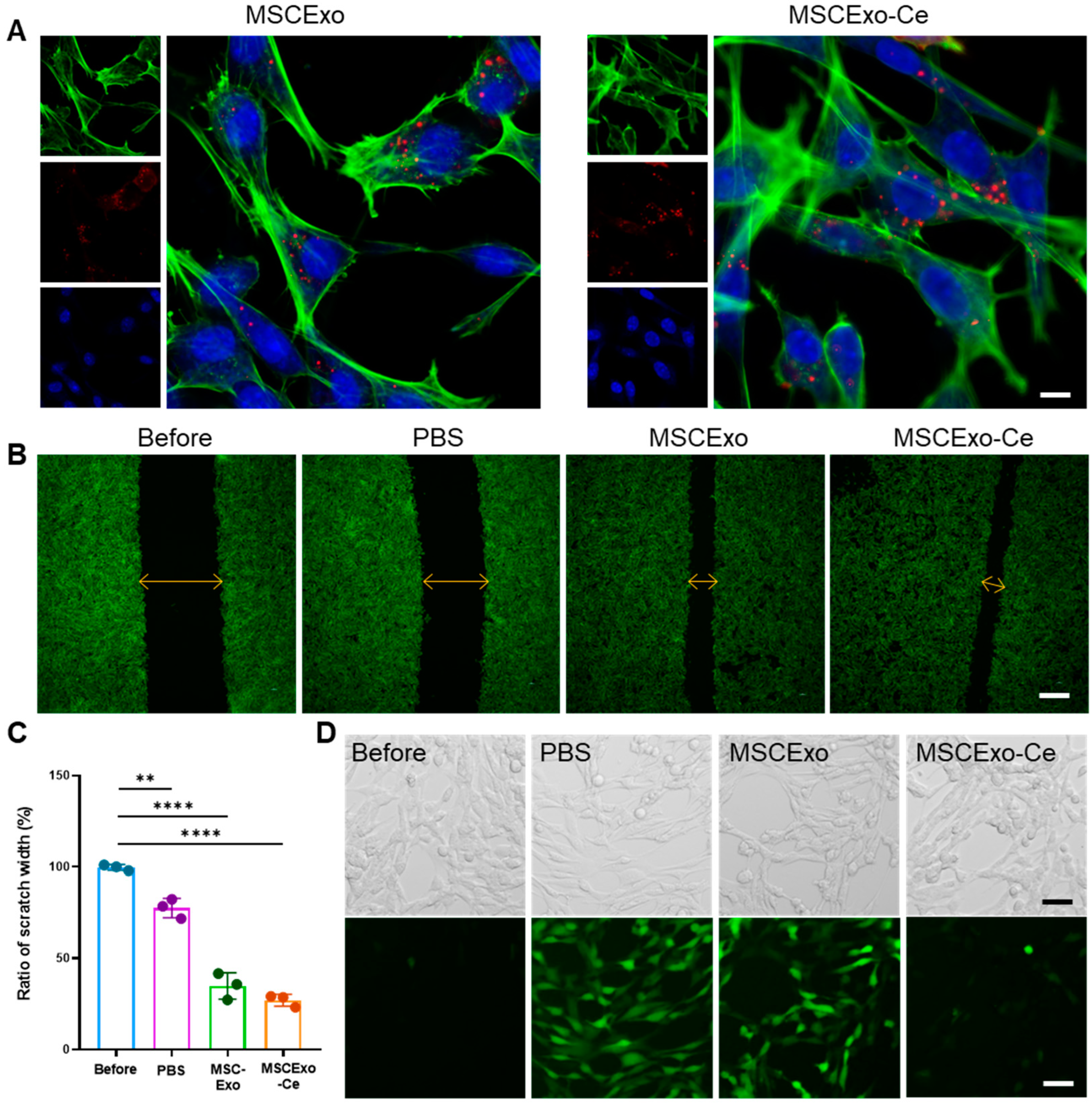 Pharmaceutics 15 02301 g003