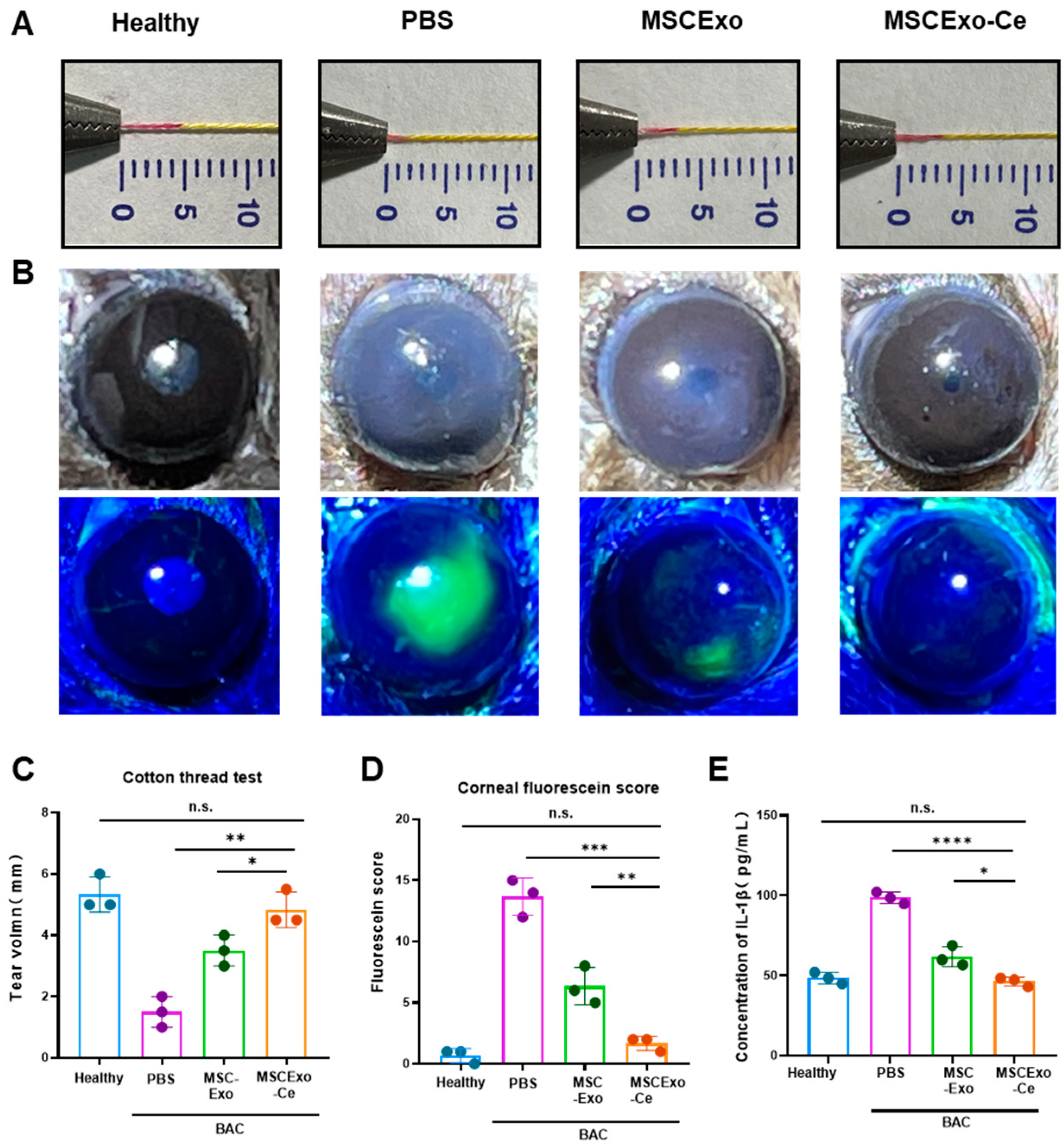 Pharmaceutics 15 02301 g004