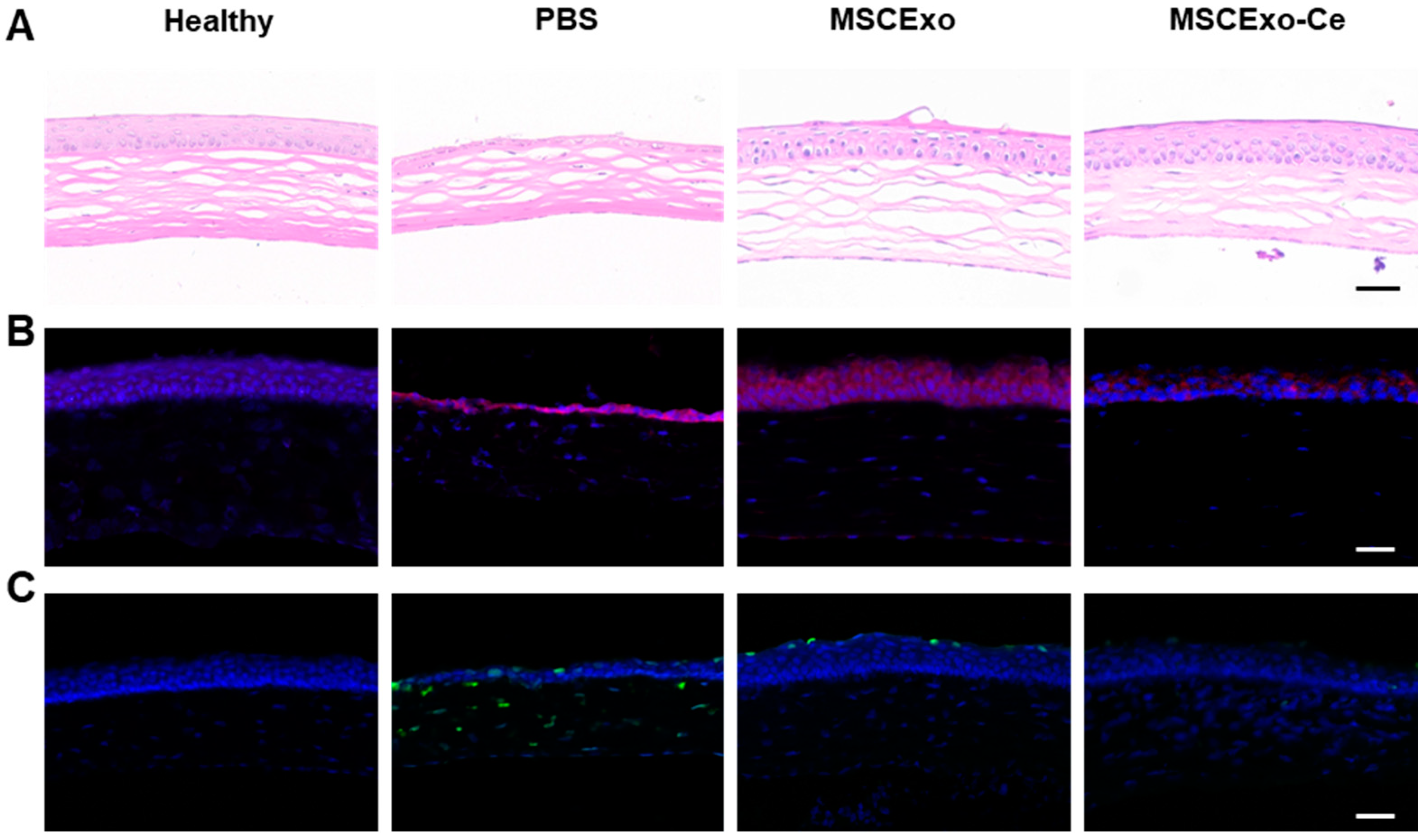 Pharmaceutics 15 02301 g005