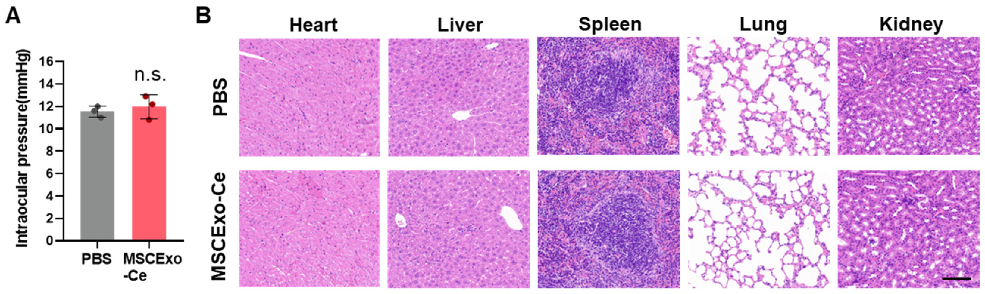Pharmaceutics 15 02301 g006