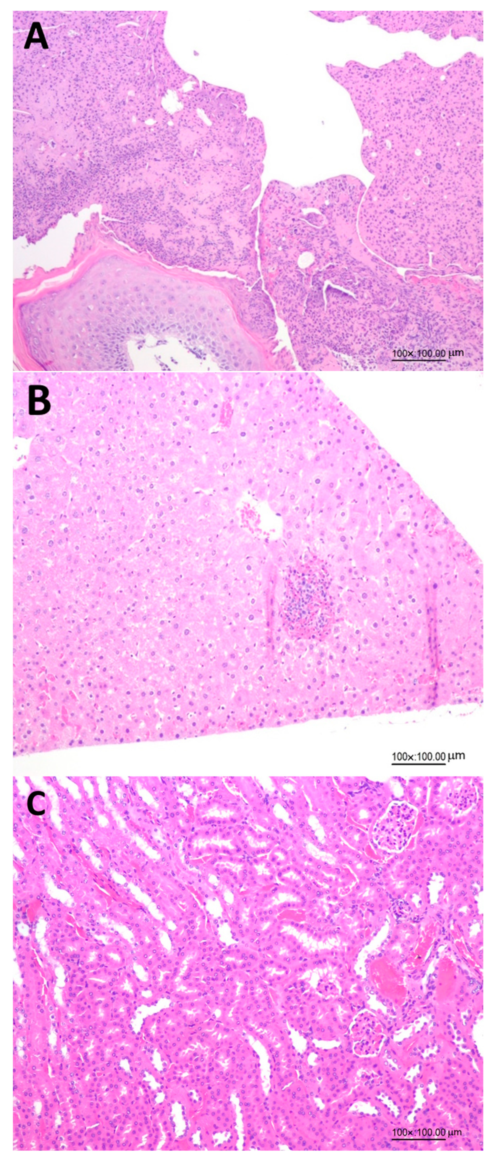 Pharmaceutics 15 02304 g004