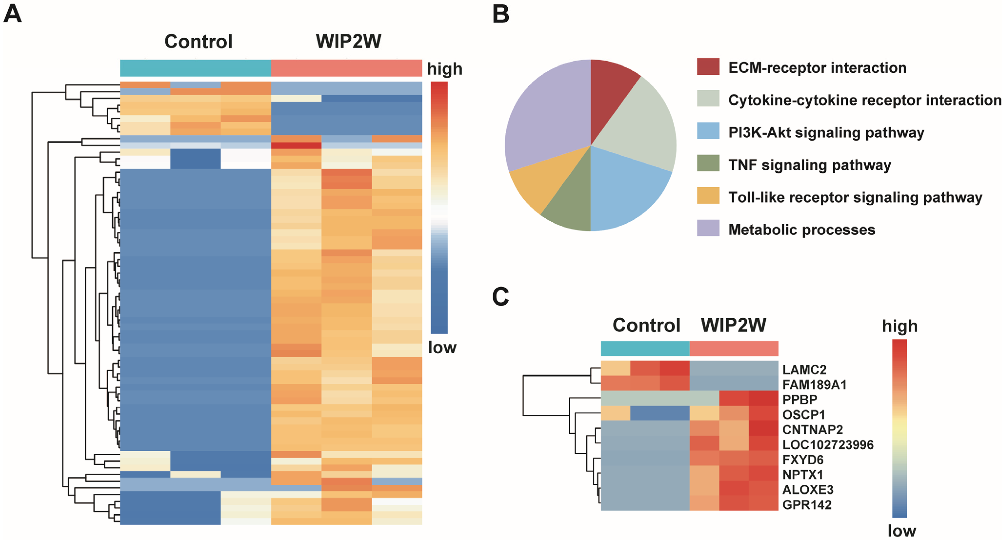 Pharmaceutics 15 02305 g003