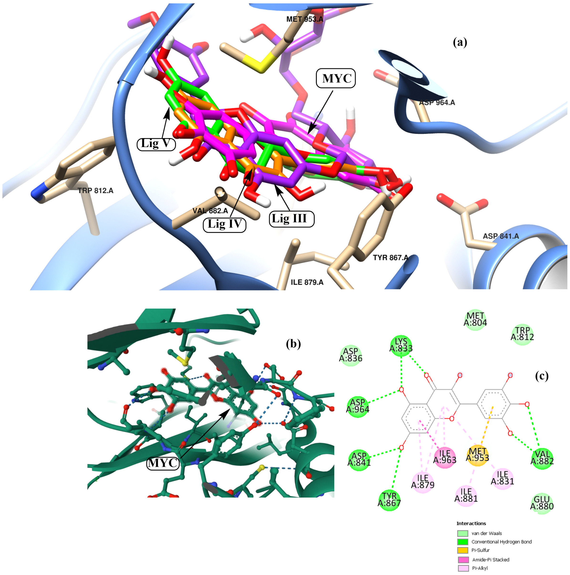 Pharmaceutics 15 02306 g003