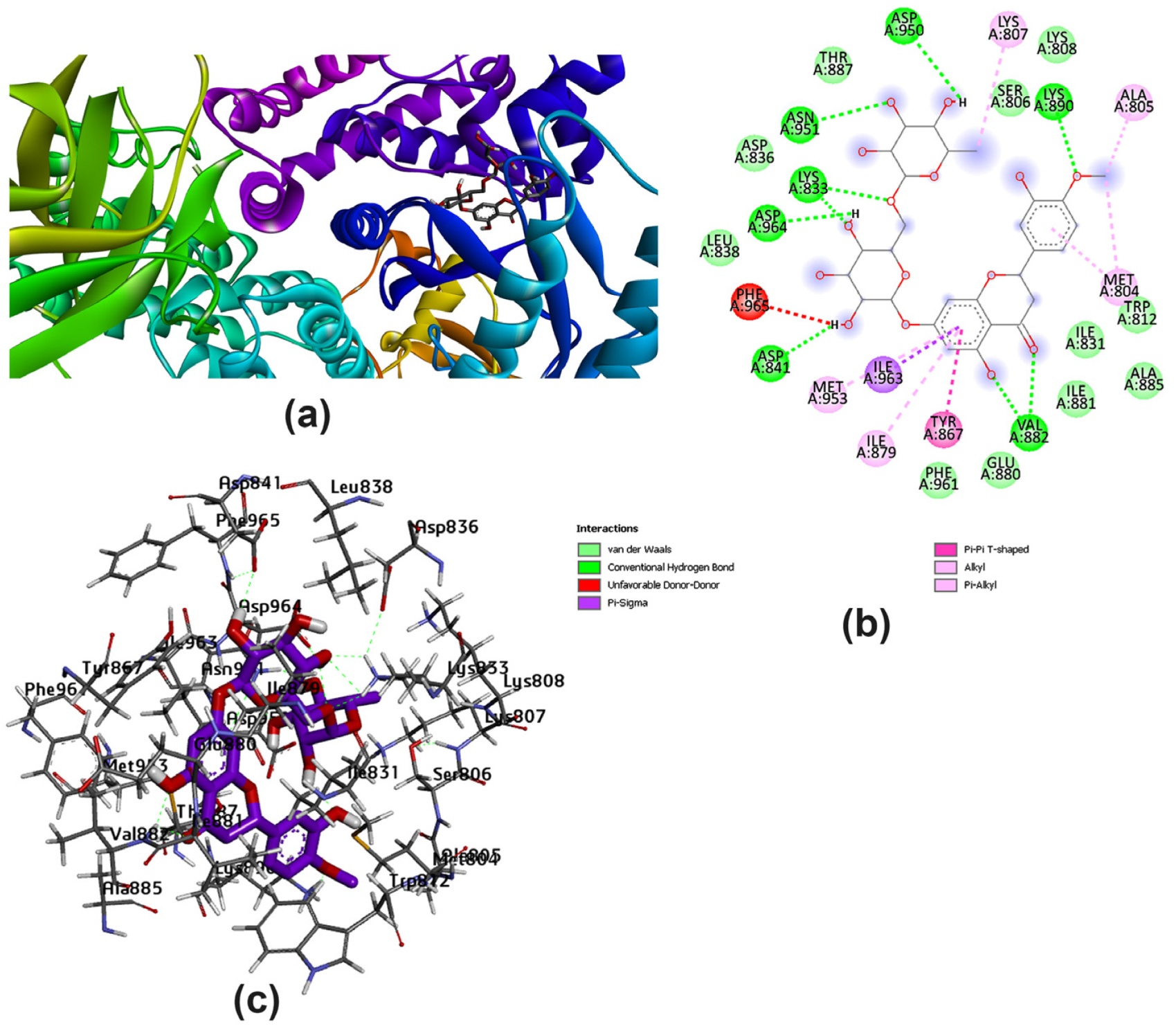 Pharmaceutics 15 02306 g005