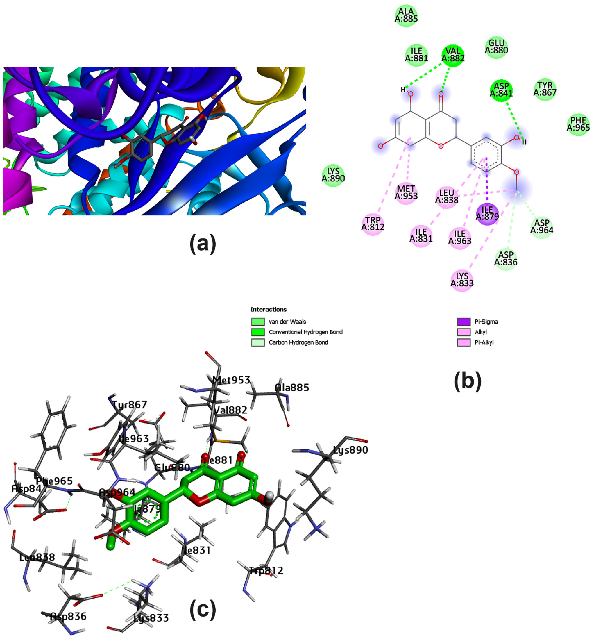 Pharmaceutics 15 02306 g008