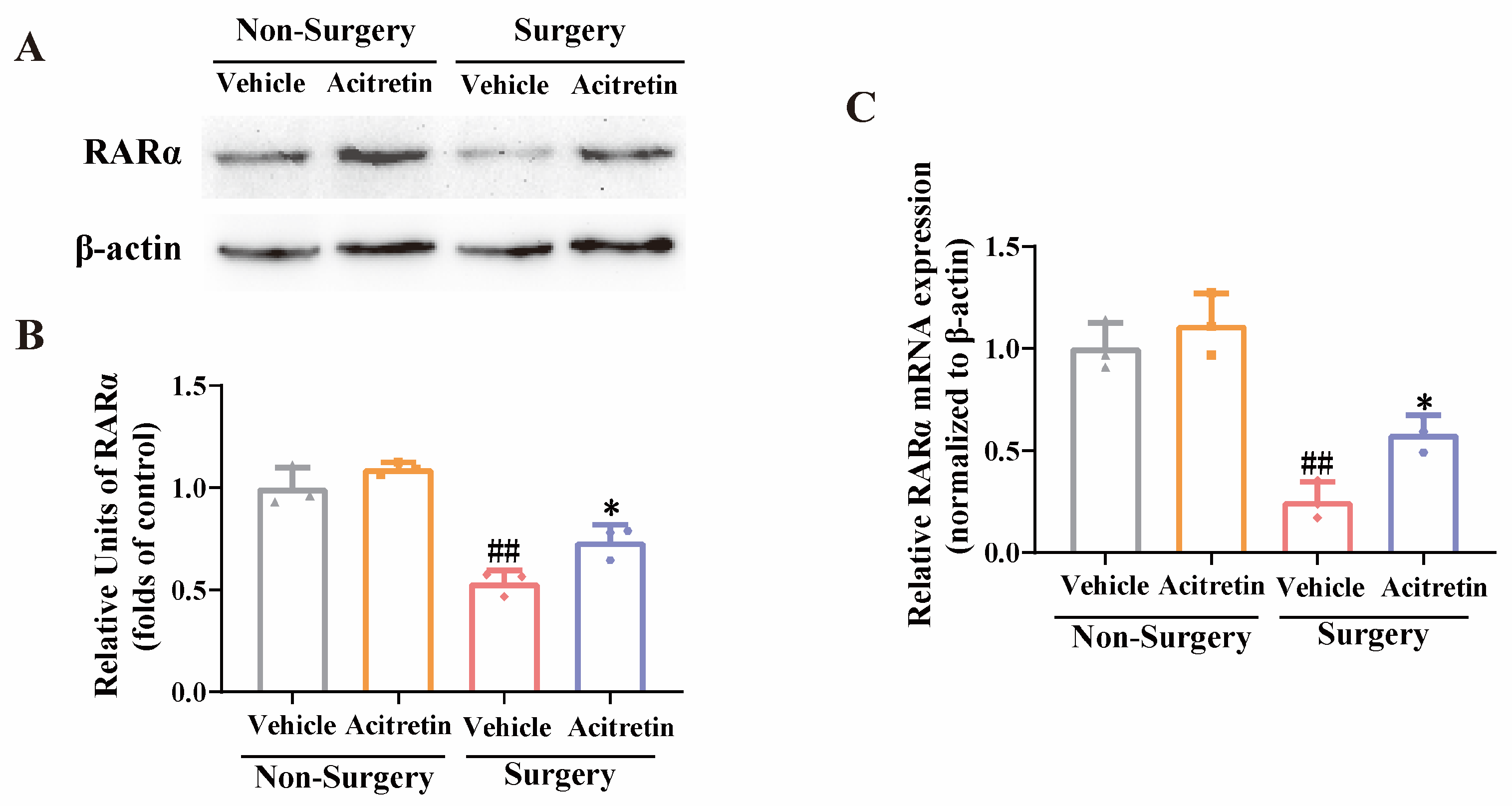 Pharmaceutics 15 02311 g003