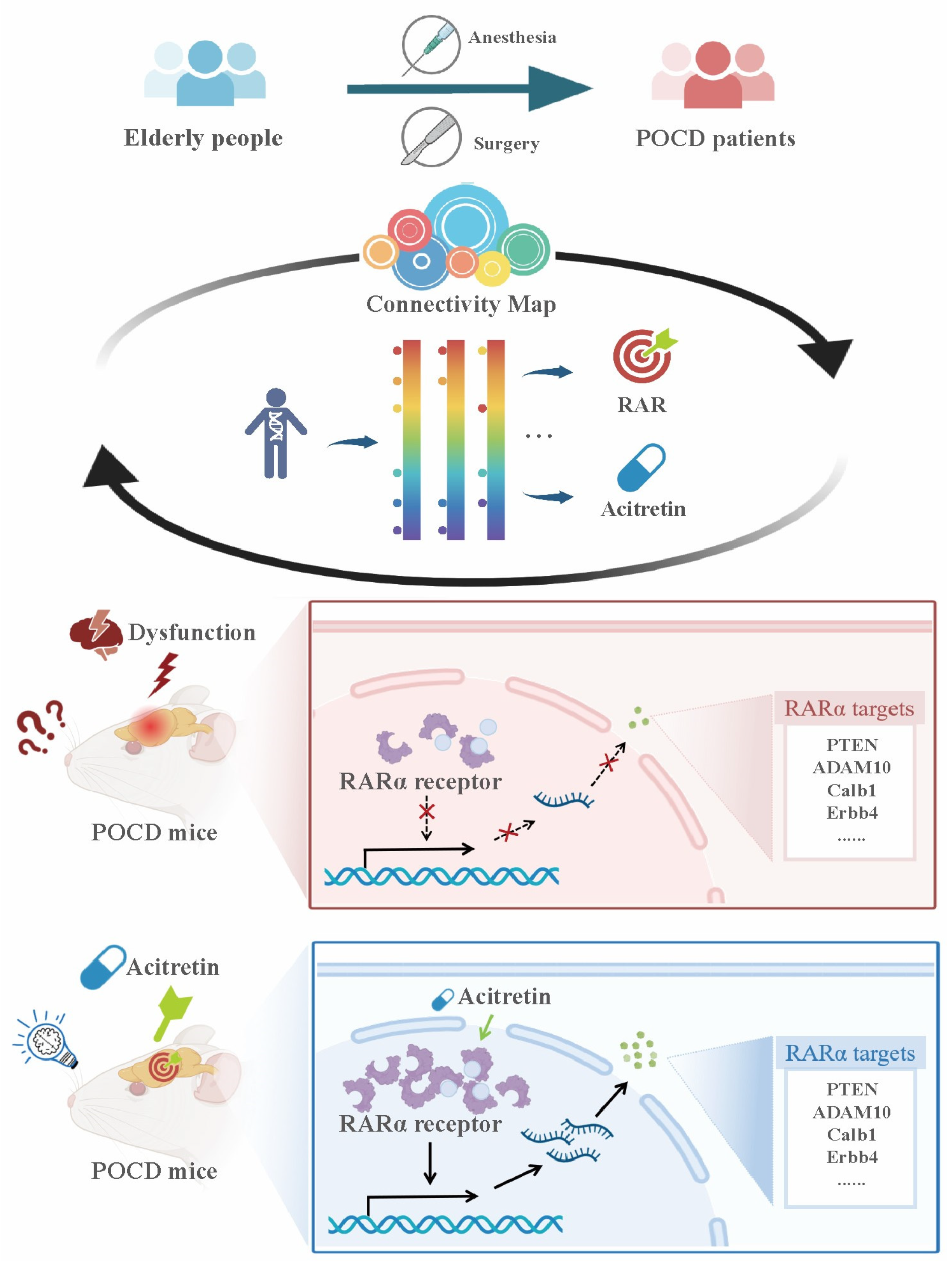 Pharmaceutics 15 02311 g005