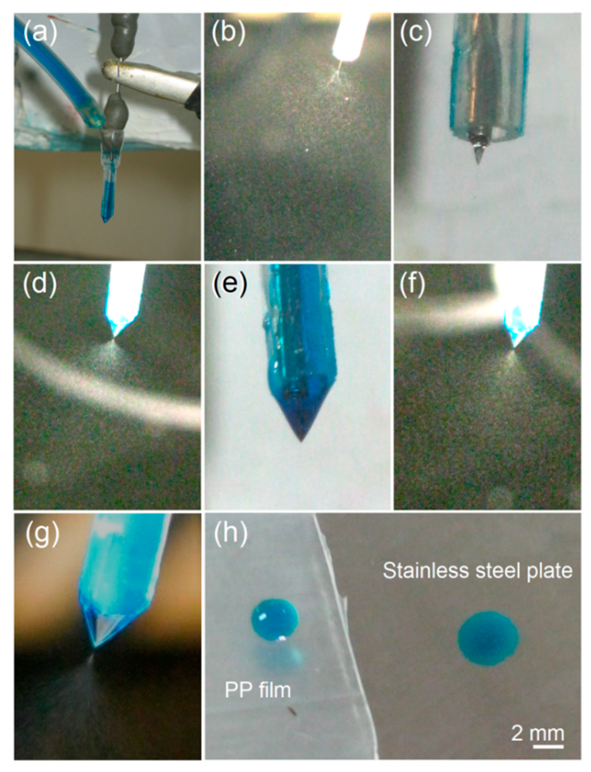 Pharmaceutics 15 02314 g004