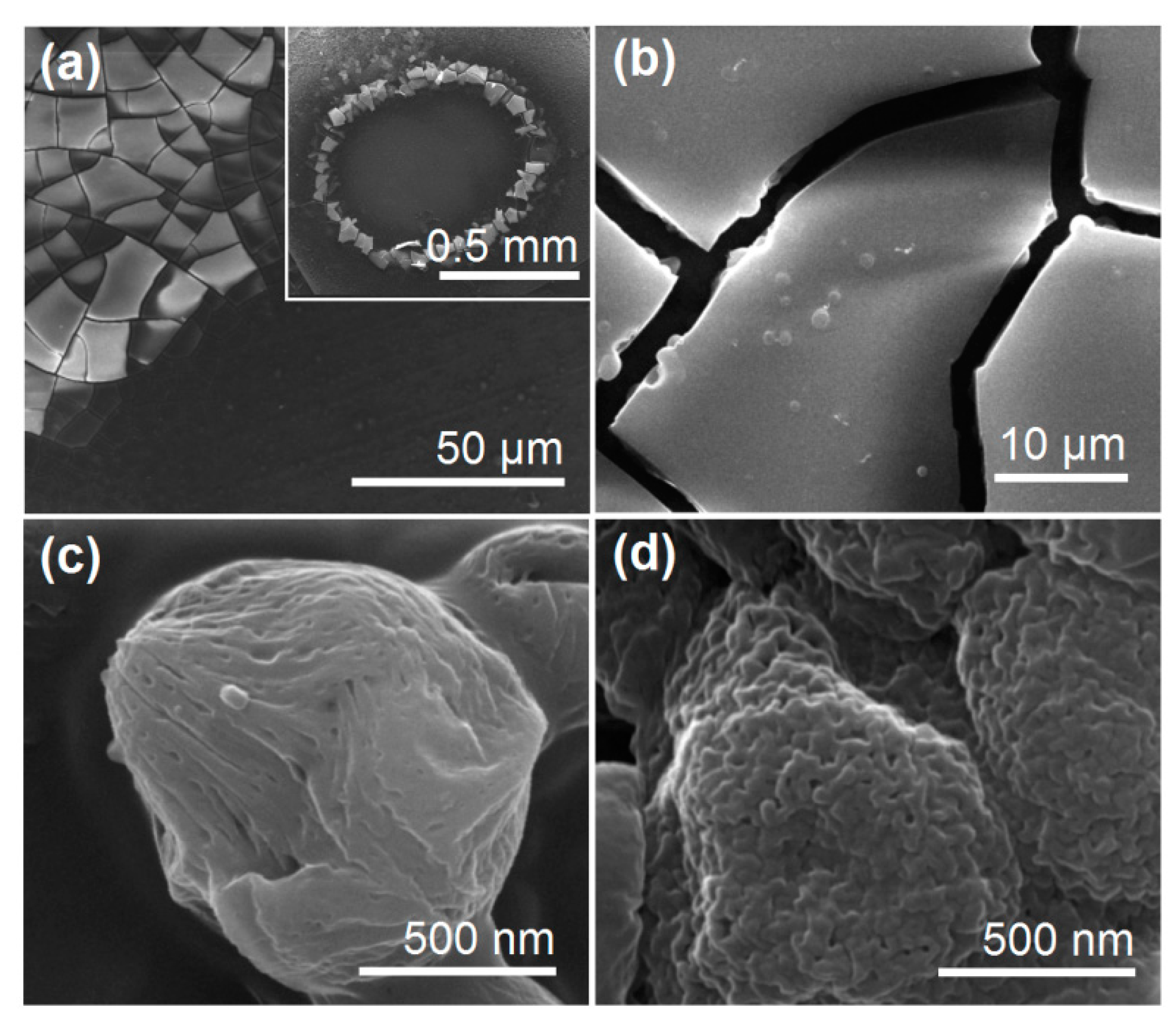 Pharmaceutics 15 02314 g009