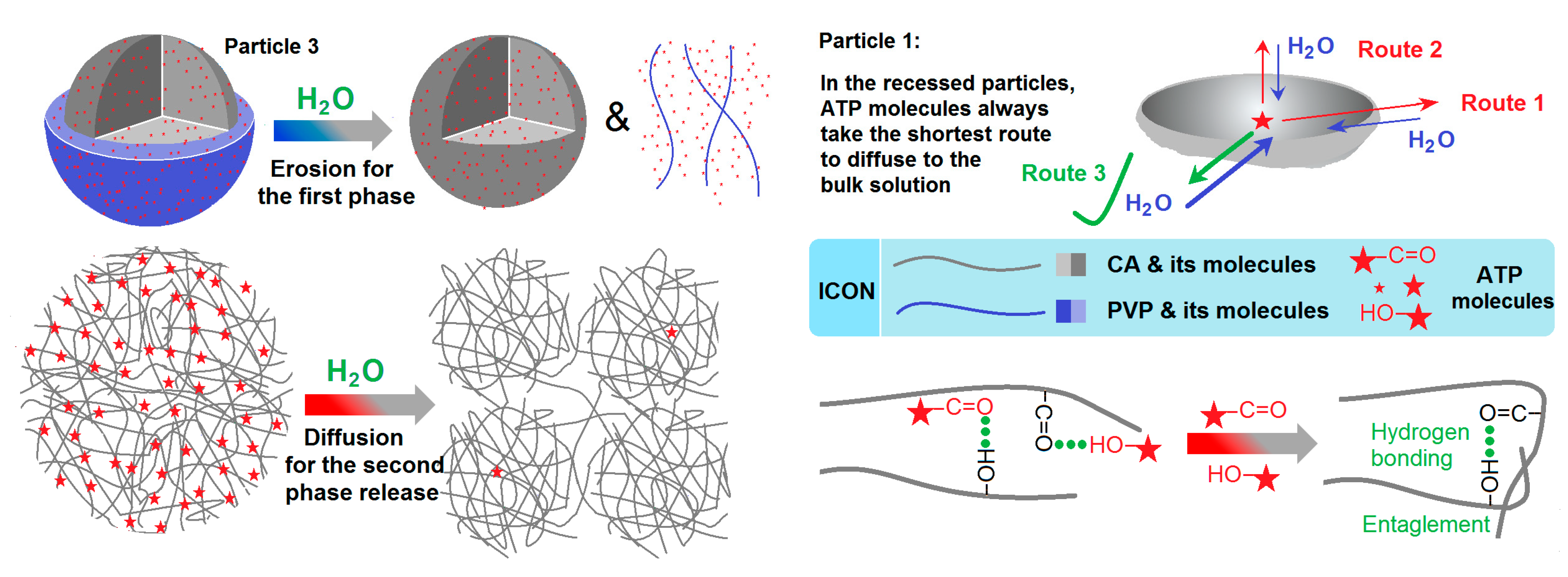 Pharmaceutics 15 02314 g010