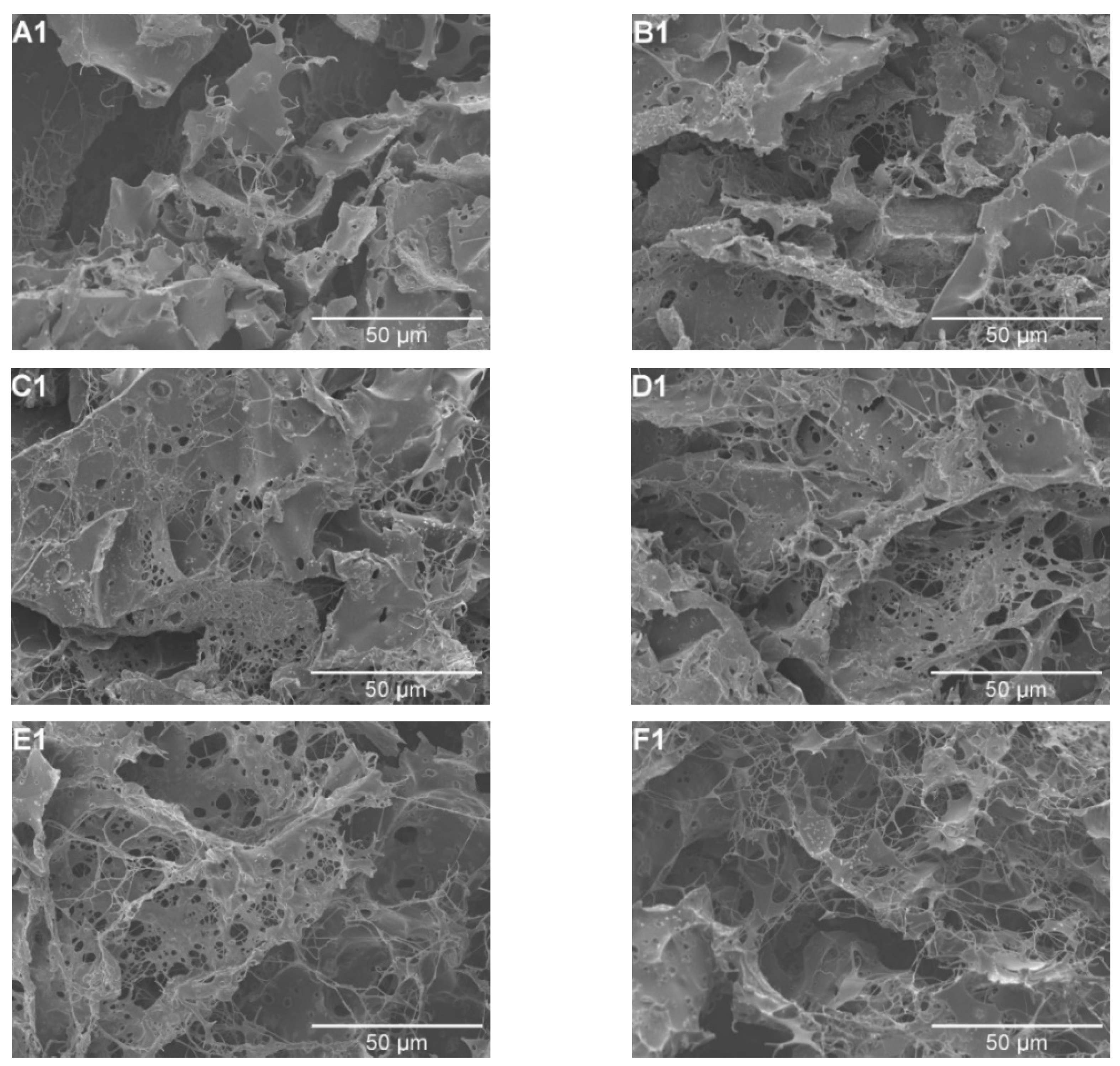 Pharmaceutics 15 02320 g003a