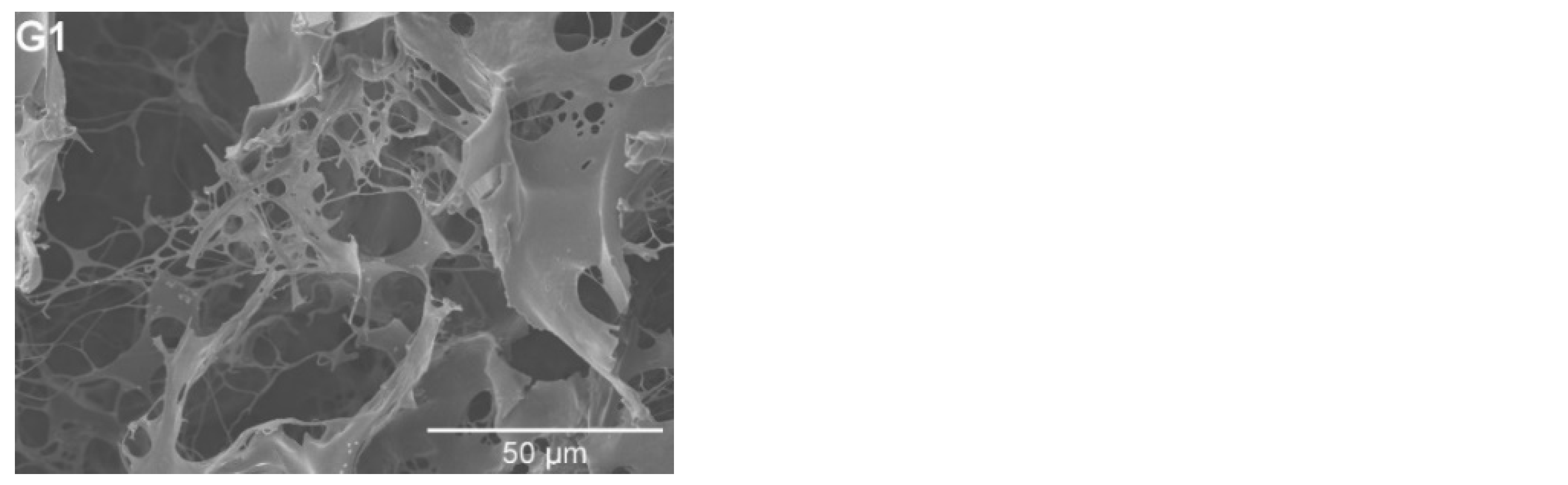 Pharmaceutics 15 02320 g003b