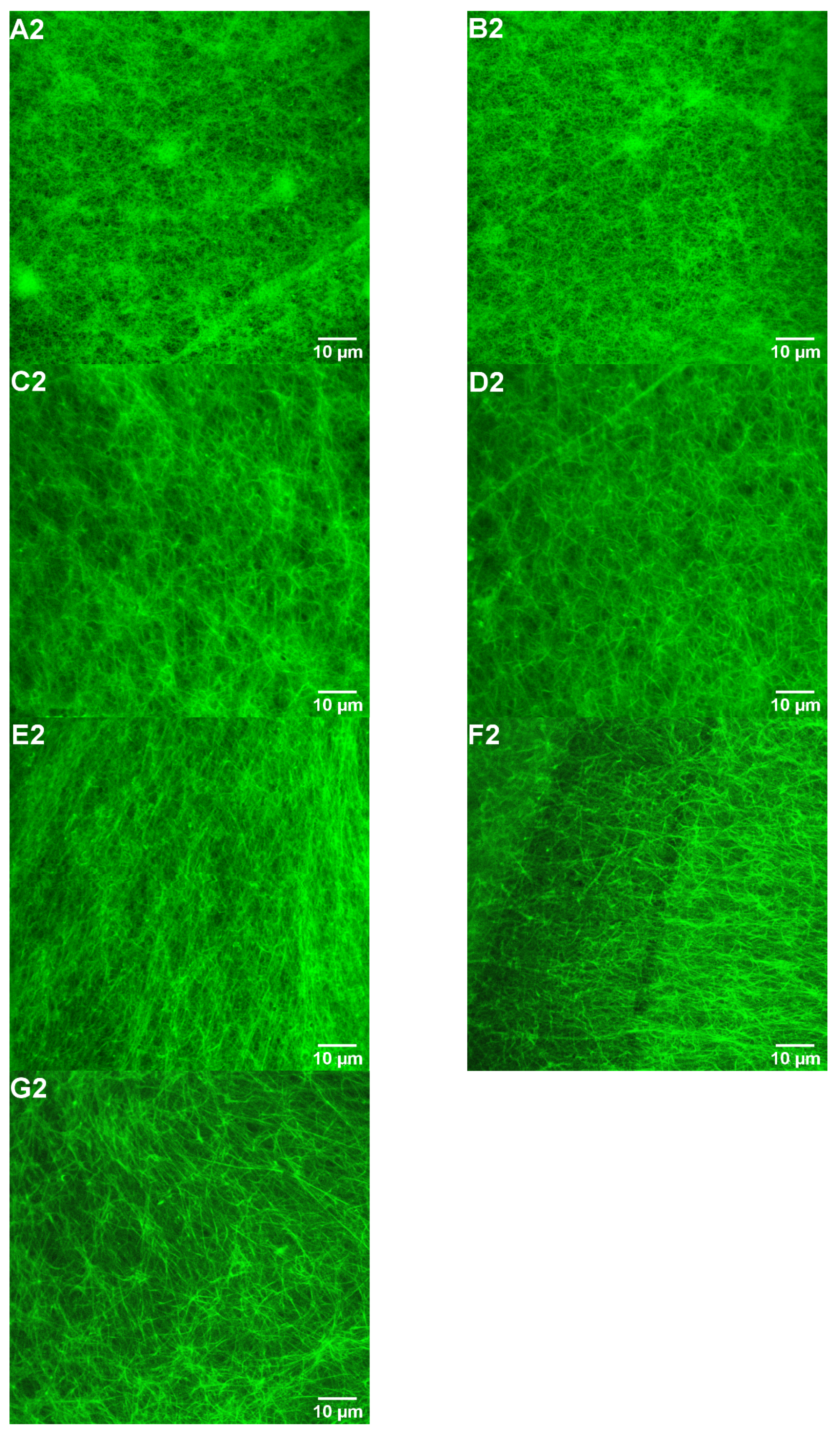 Pharmaceutics 15 02320 g005