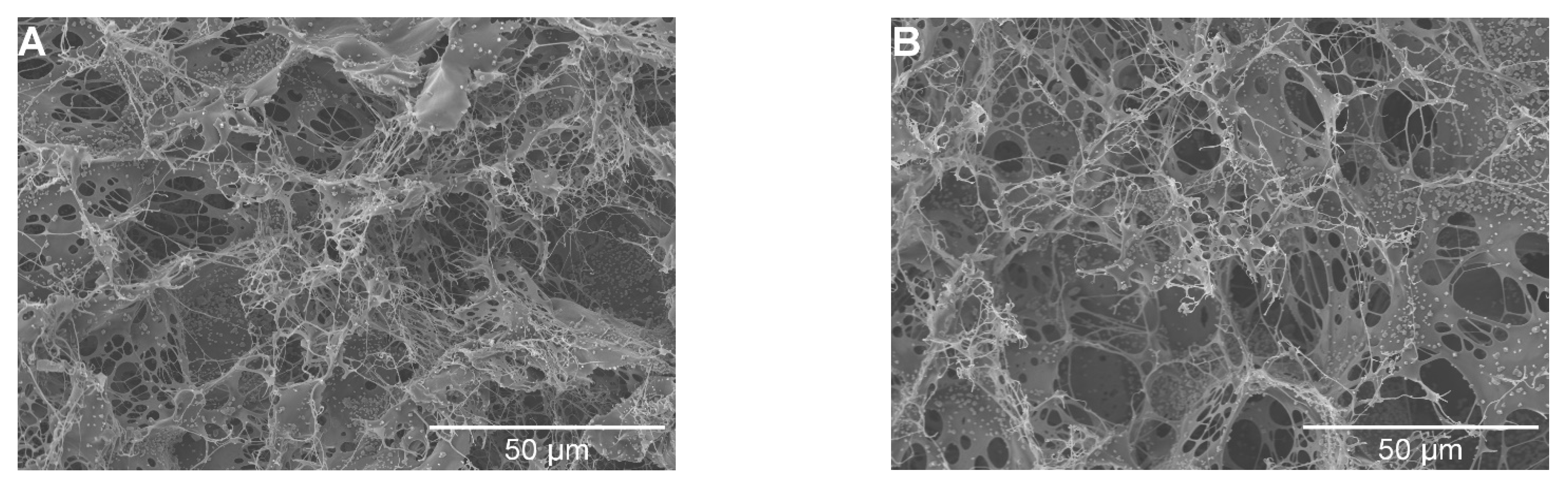 Pharmaceutics 15 02320 g007a