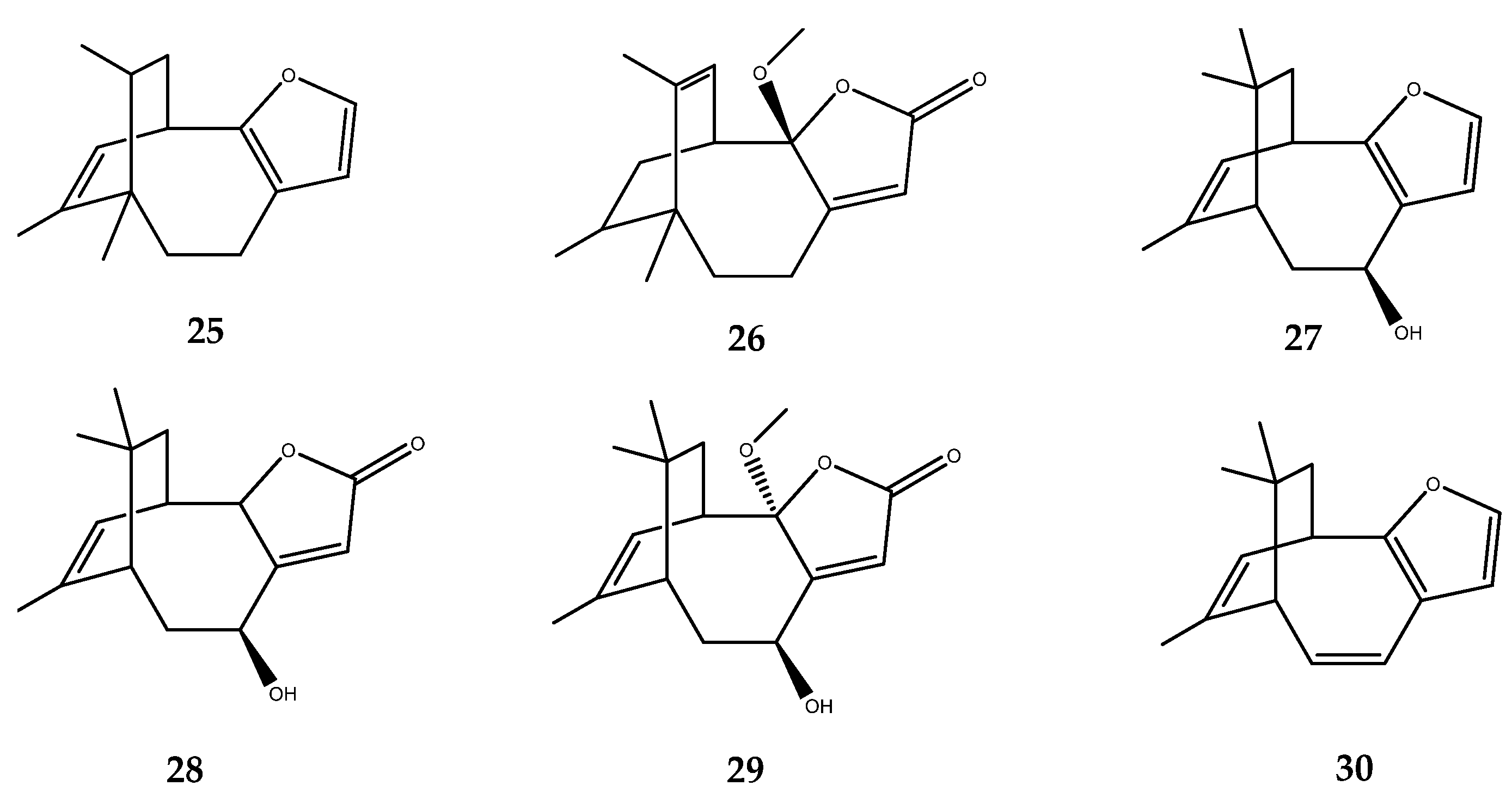 Pharmaceutics 15 02321 g005 Pharmaceutics 15 02321 g005