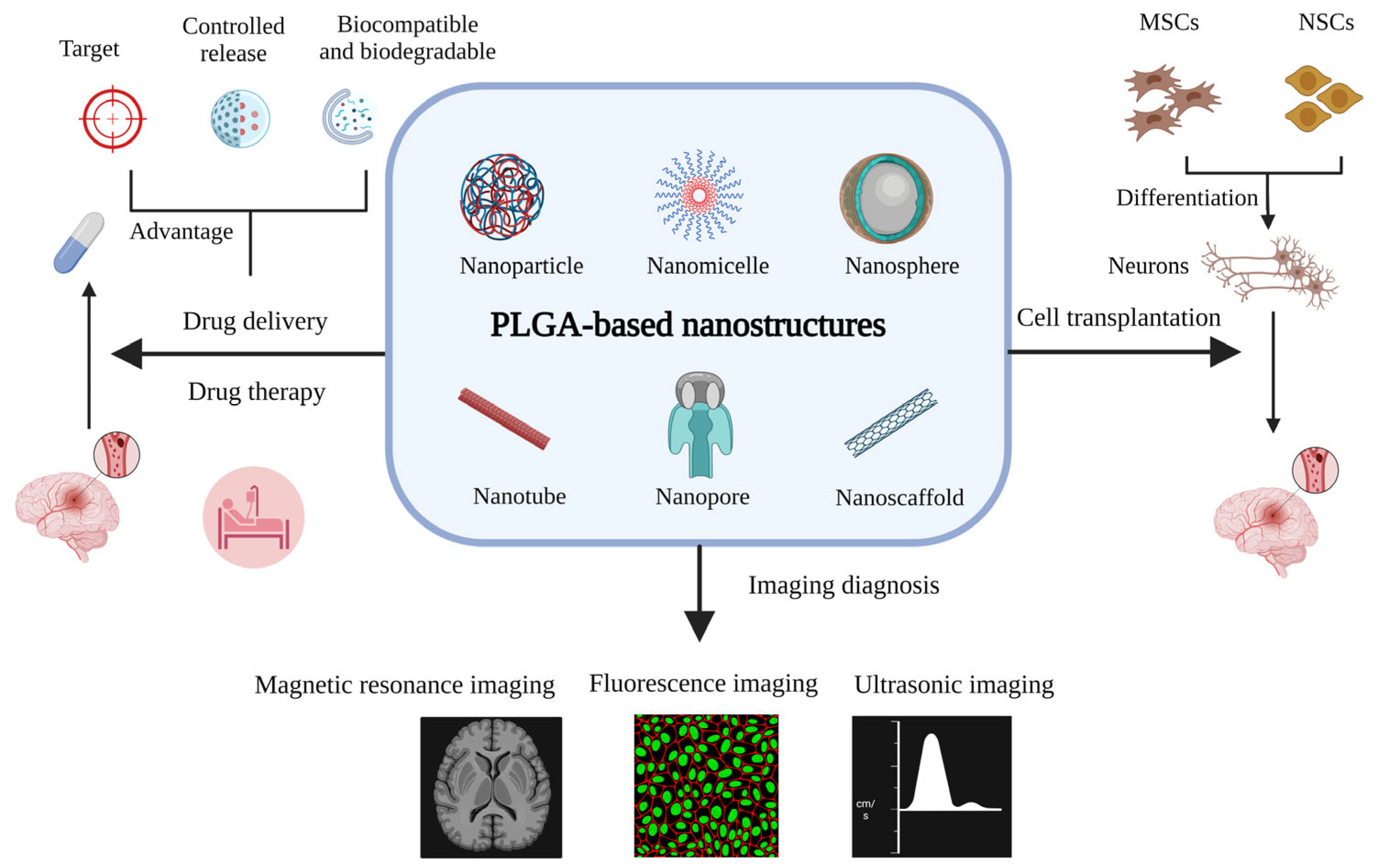 Pharmaceutics 15 02322 g001