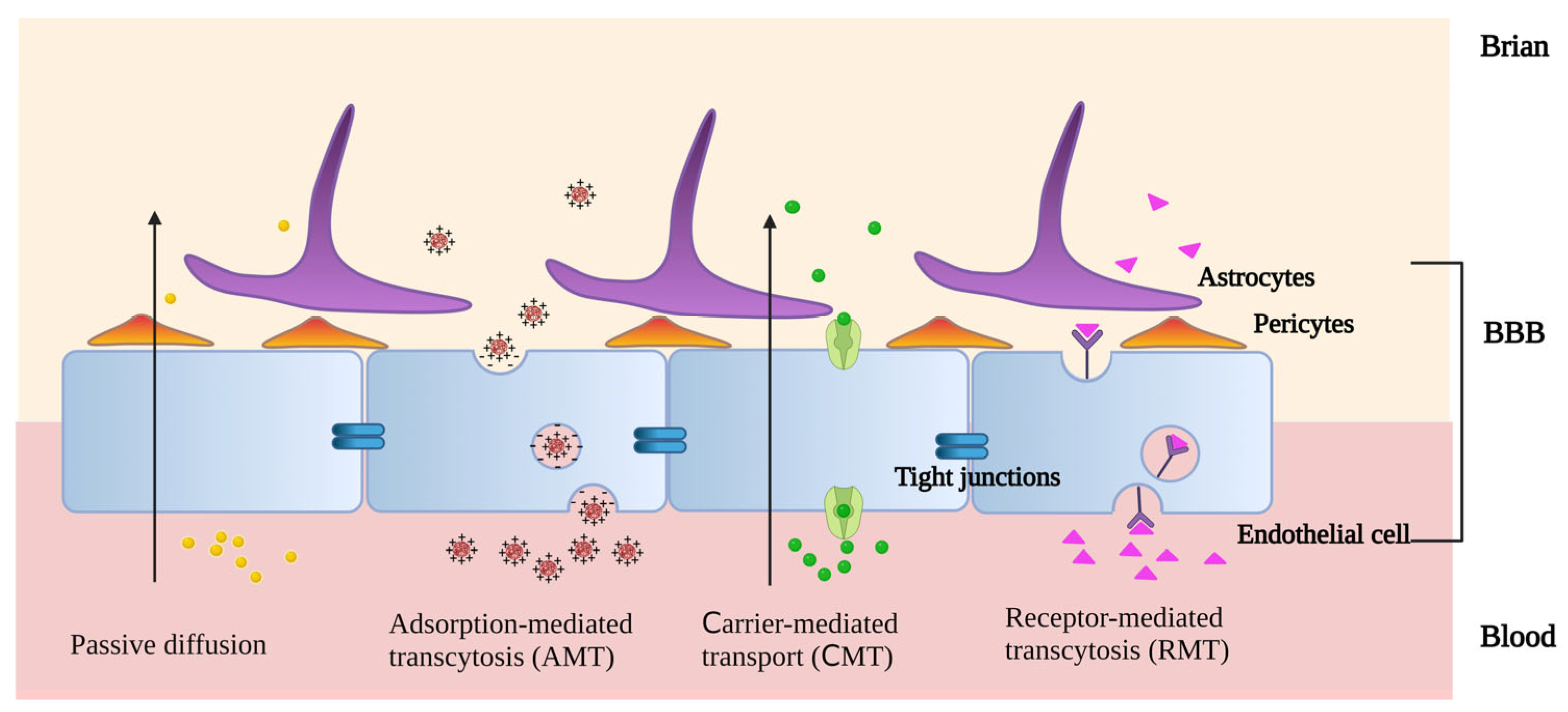 Pharmaceutics 15 02322 g003