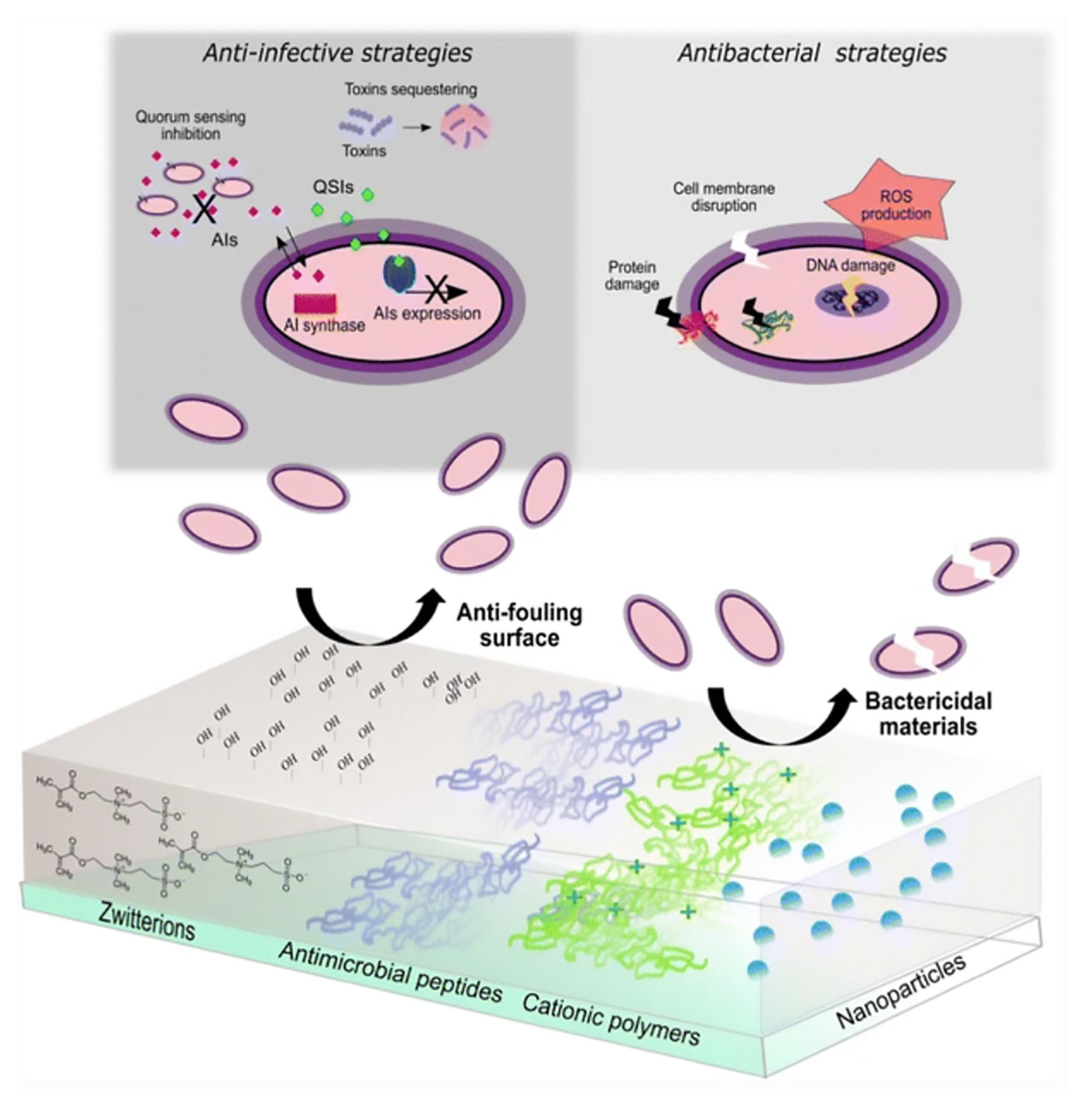 Pharmaceutics 15 02327 g001