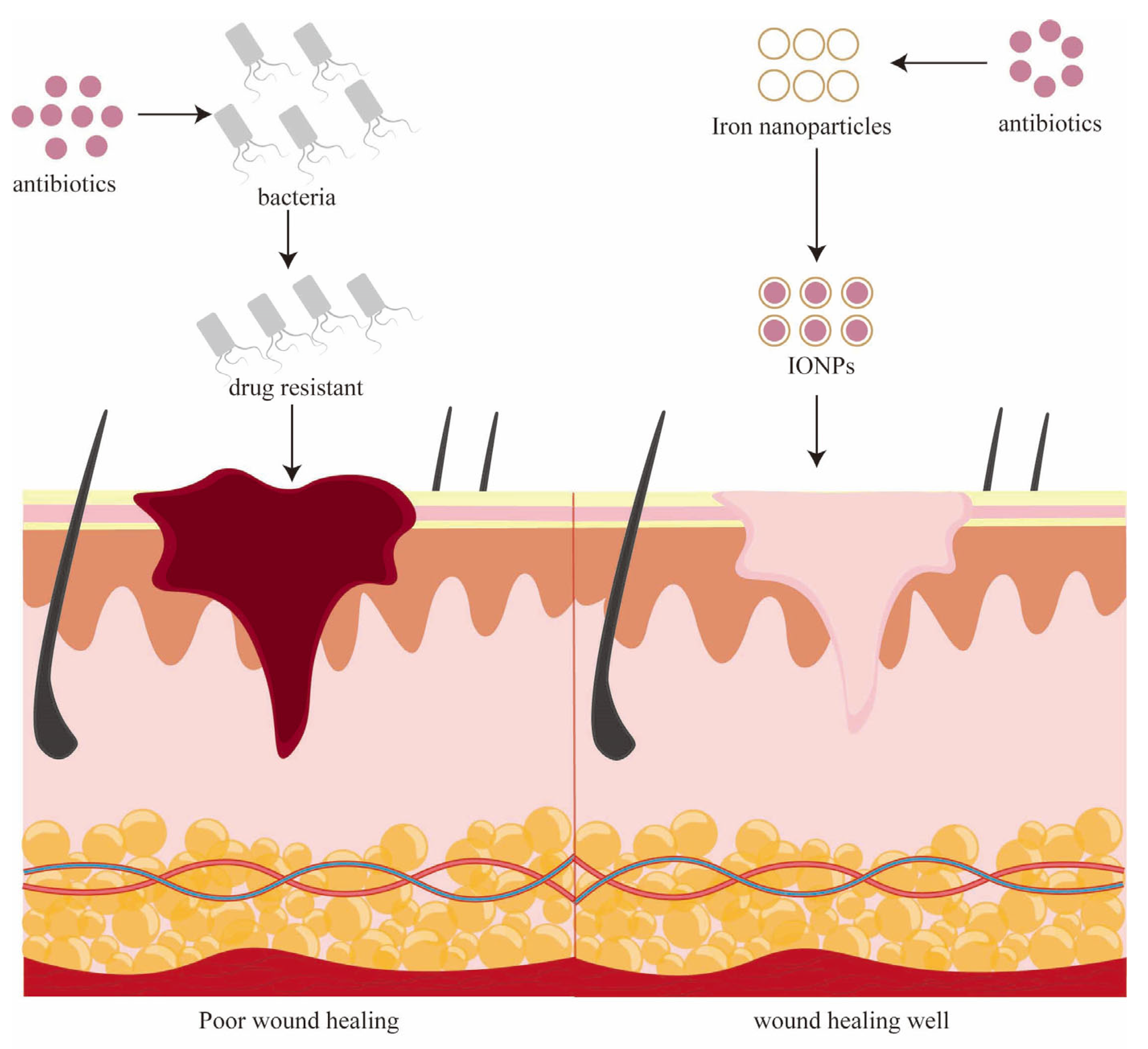 Pharmaceutics 15 02327 g002